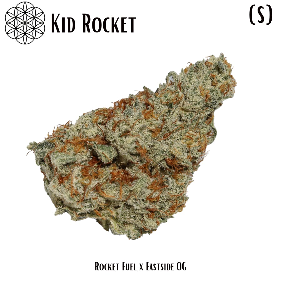 Kid Rocket Flower - image 1