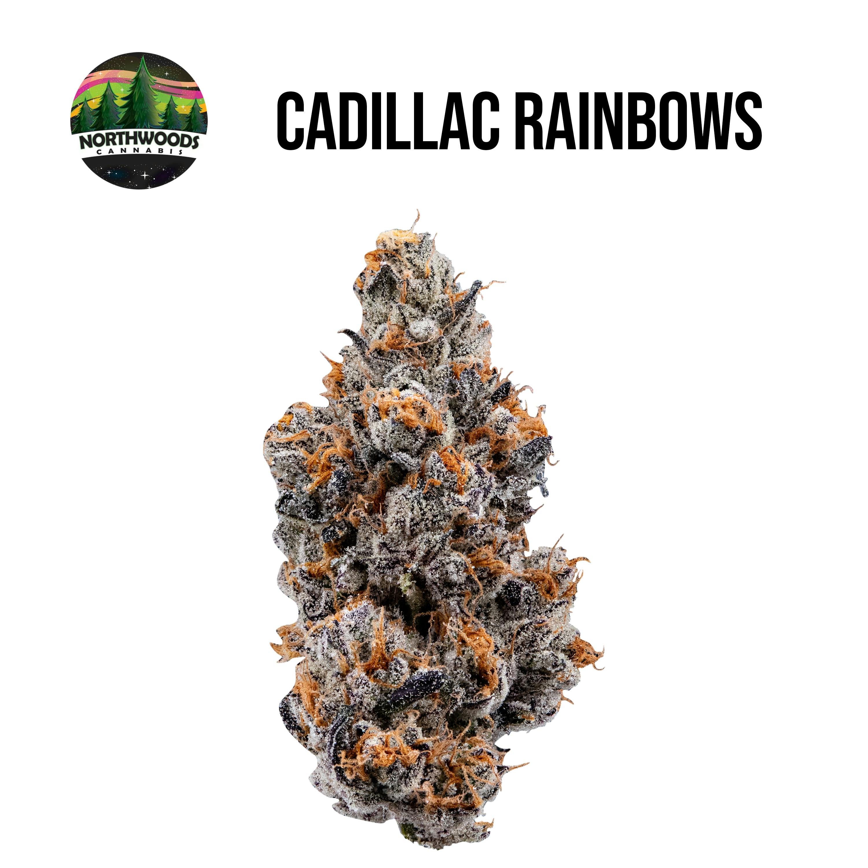 Cadillac Rainbows Flower - image 1