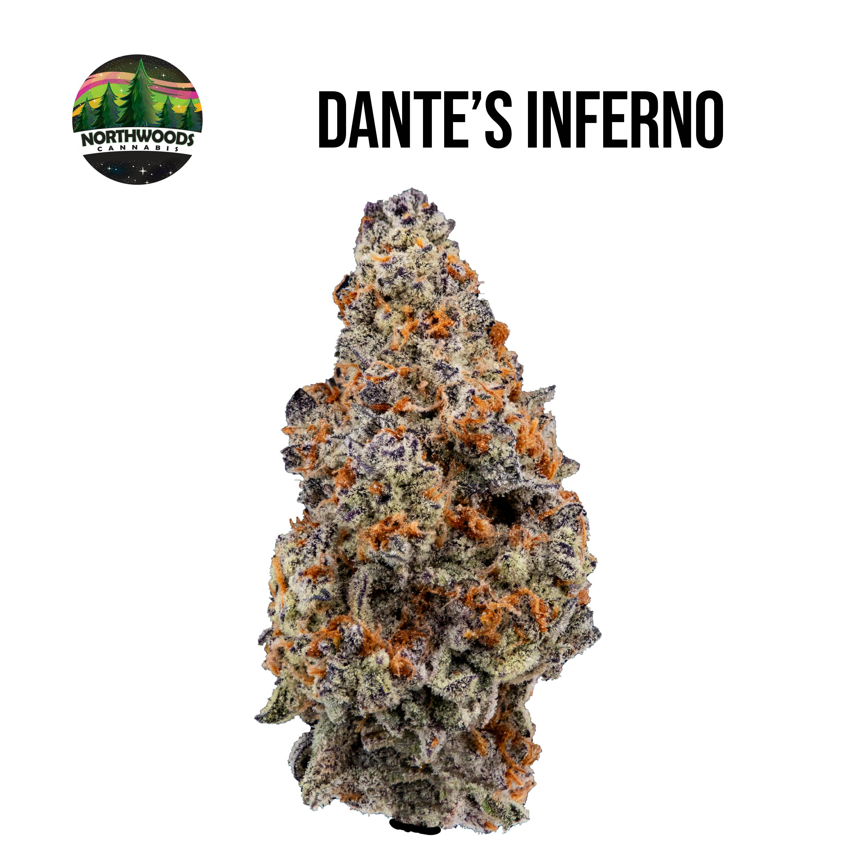 Dantes Inferno Flower - image 1