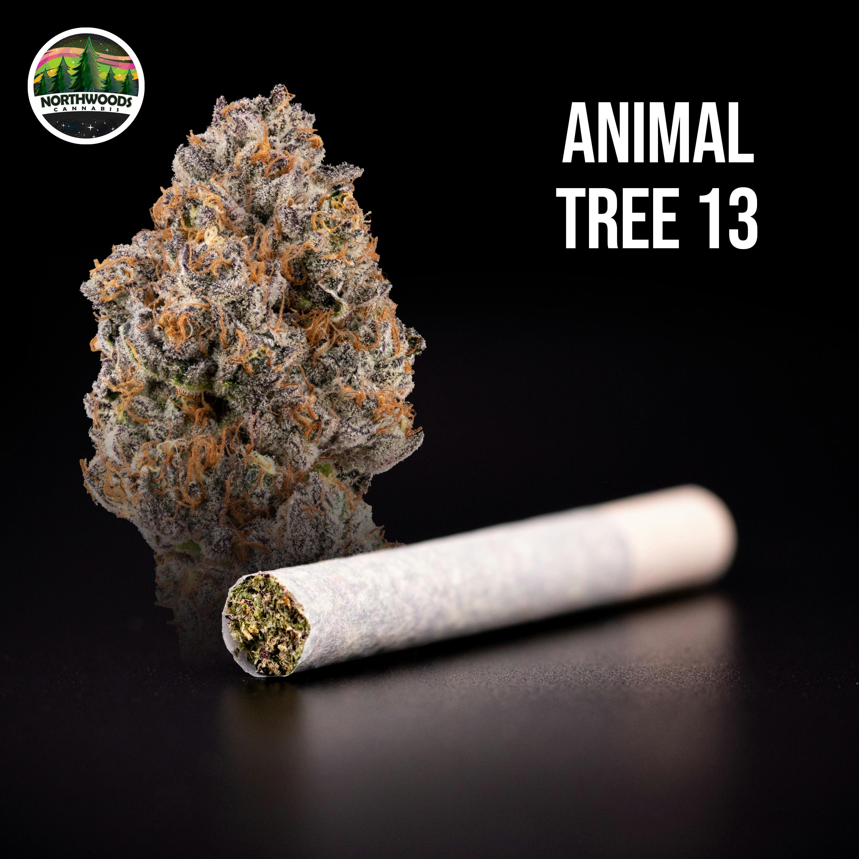 Animal Tree 13 Pre-Roll - image 1