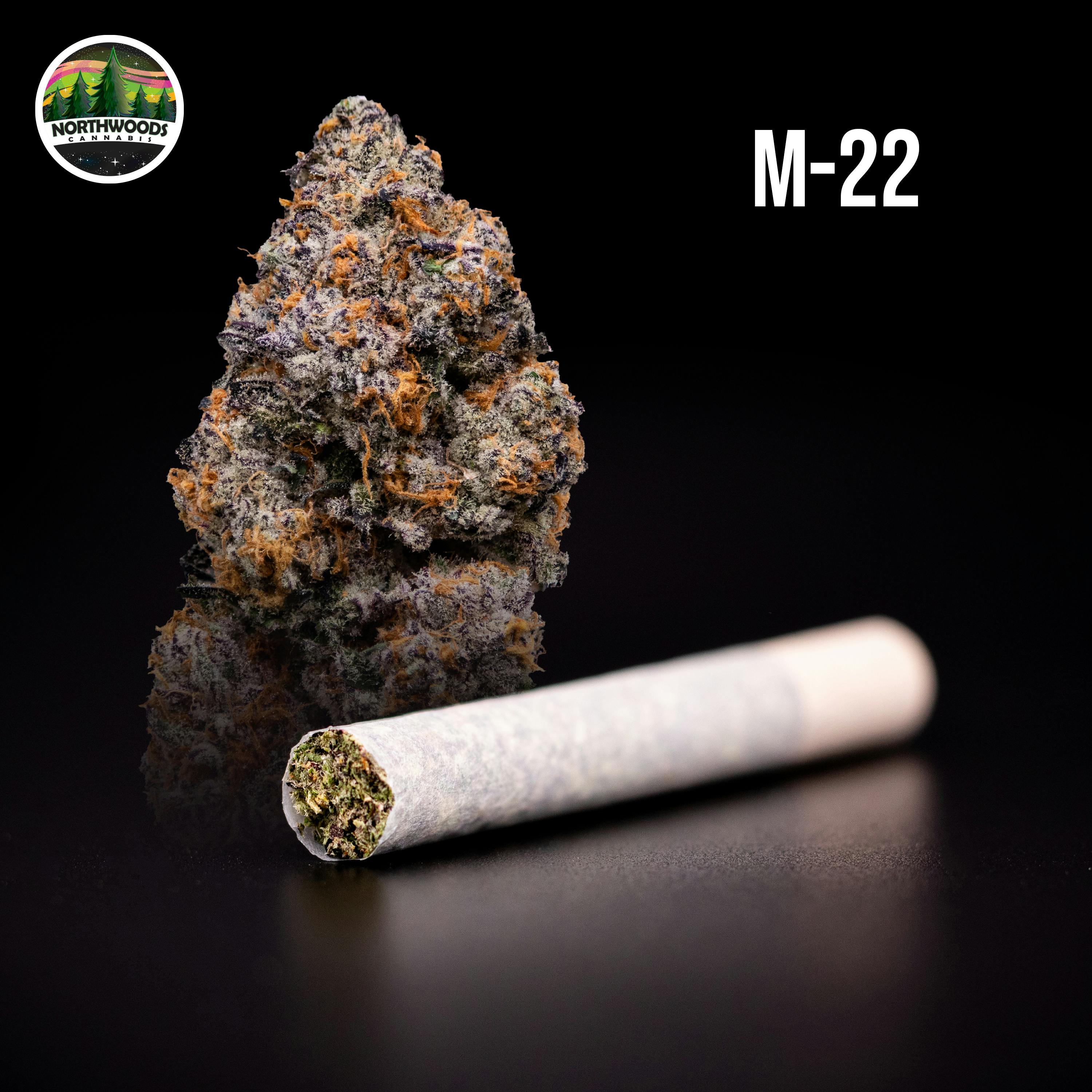 M-22 Pre-Roll - image 1