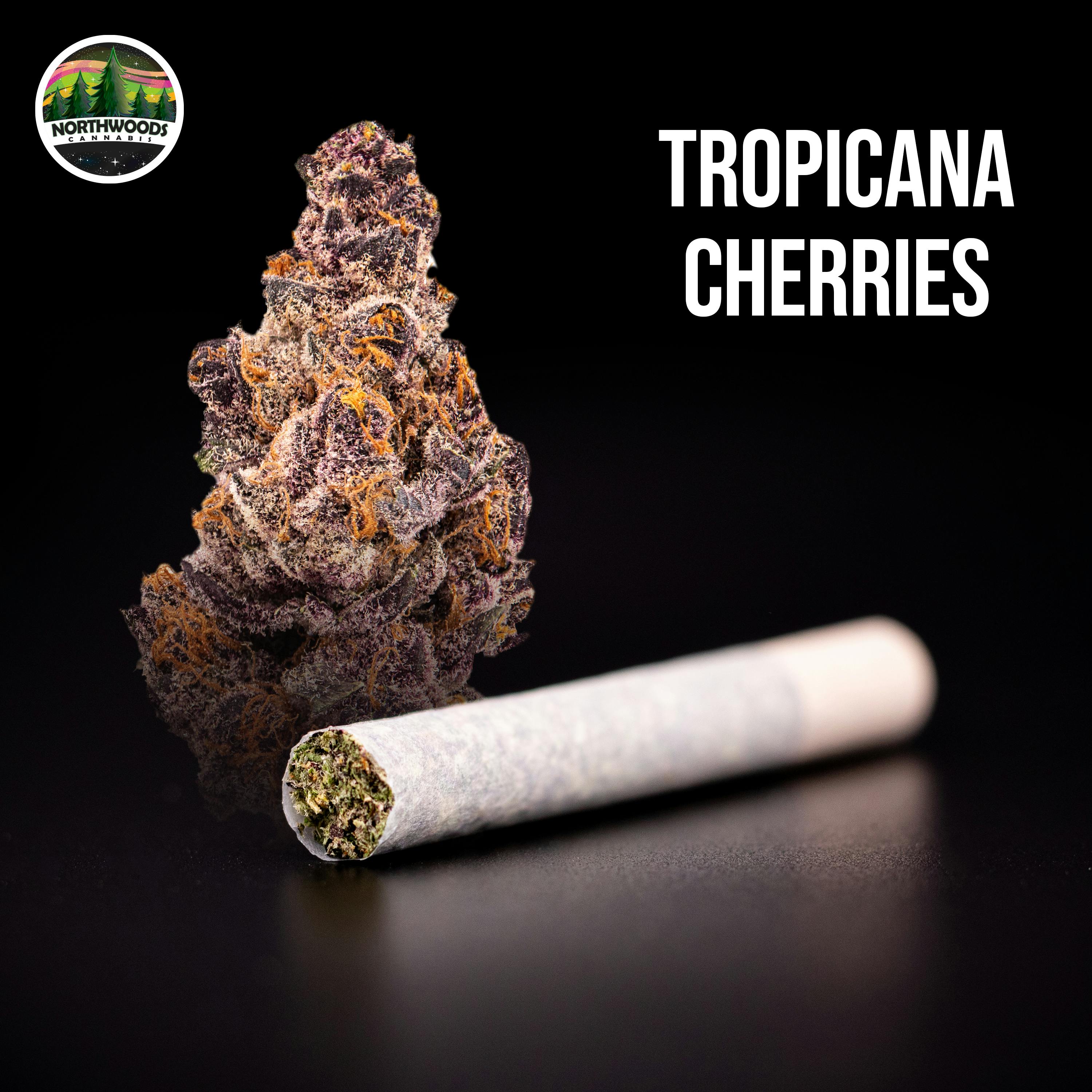 Tropicana Cherries Pre-Roll - image 1