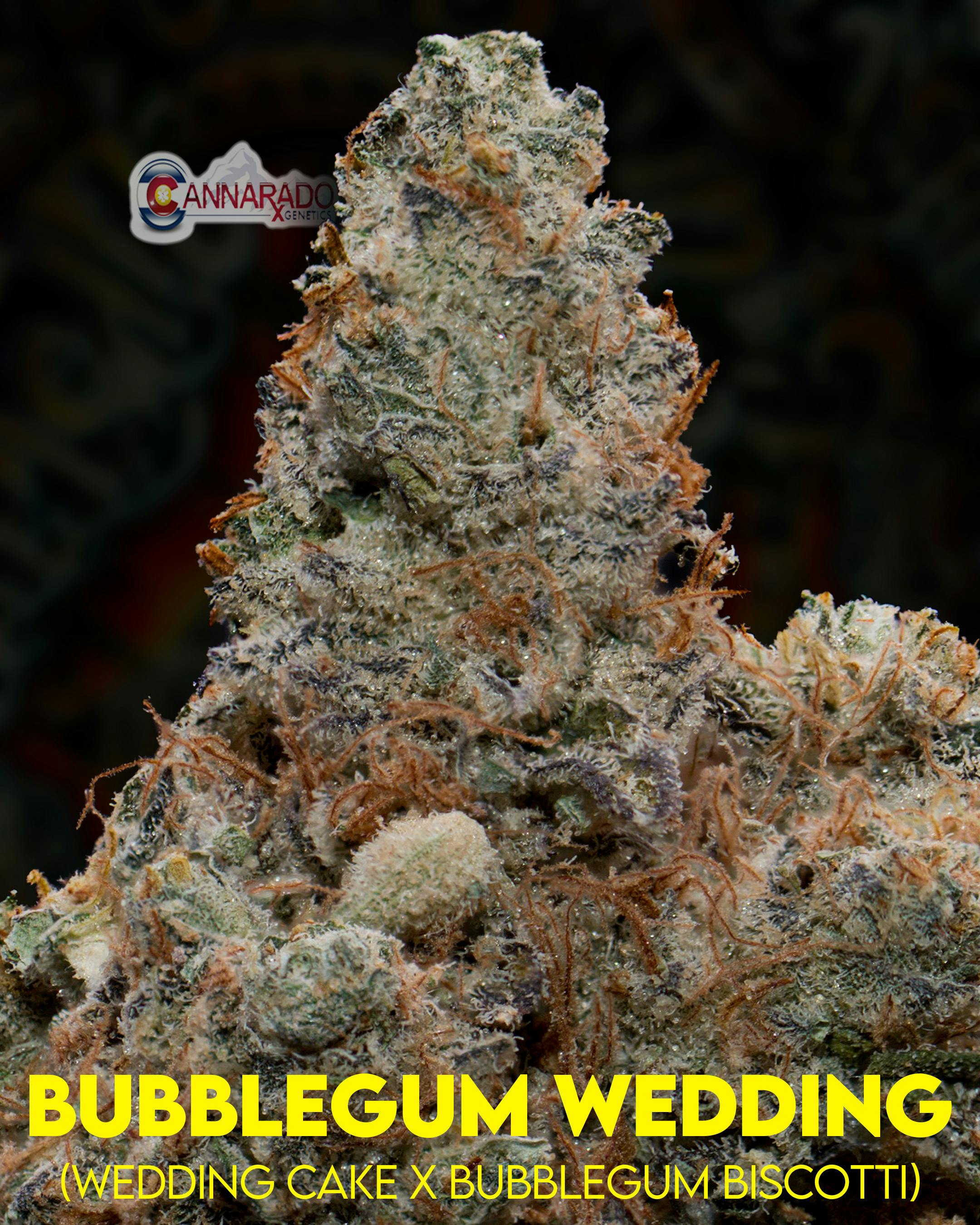 Joint: 1g Bubblegum Wedding - image 1