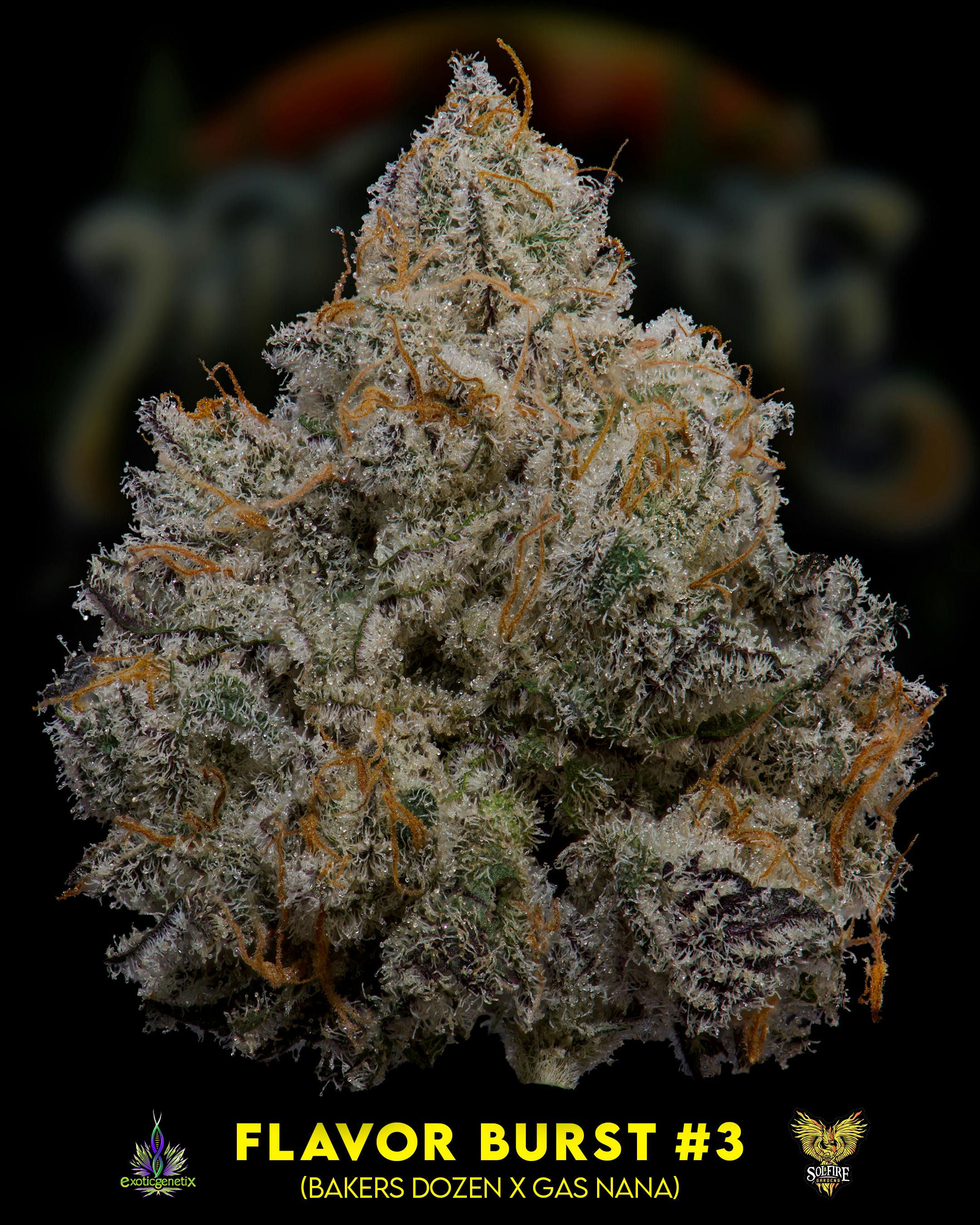 Flower: Flavor Burst #3 - image 2