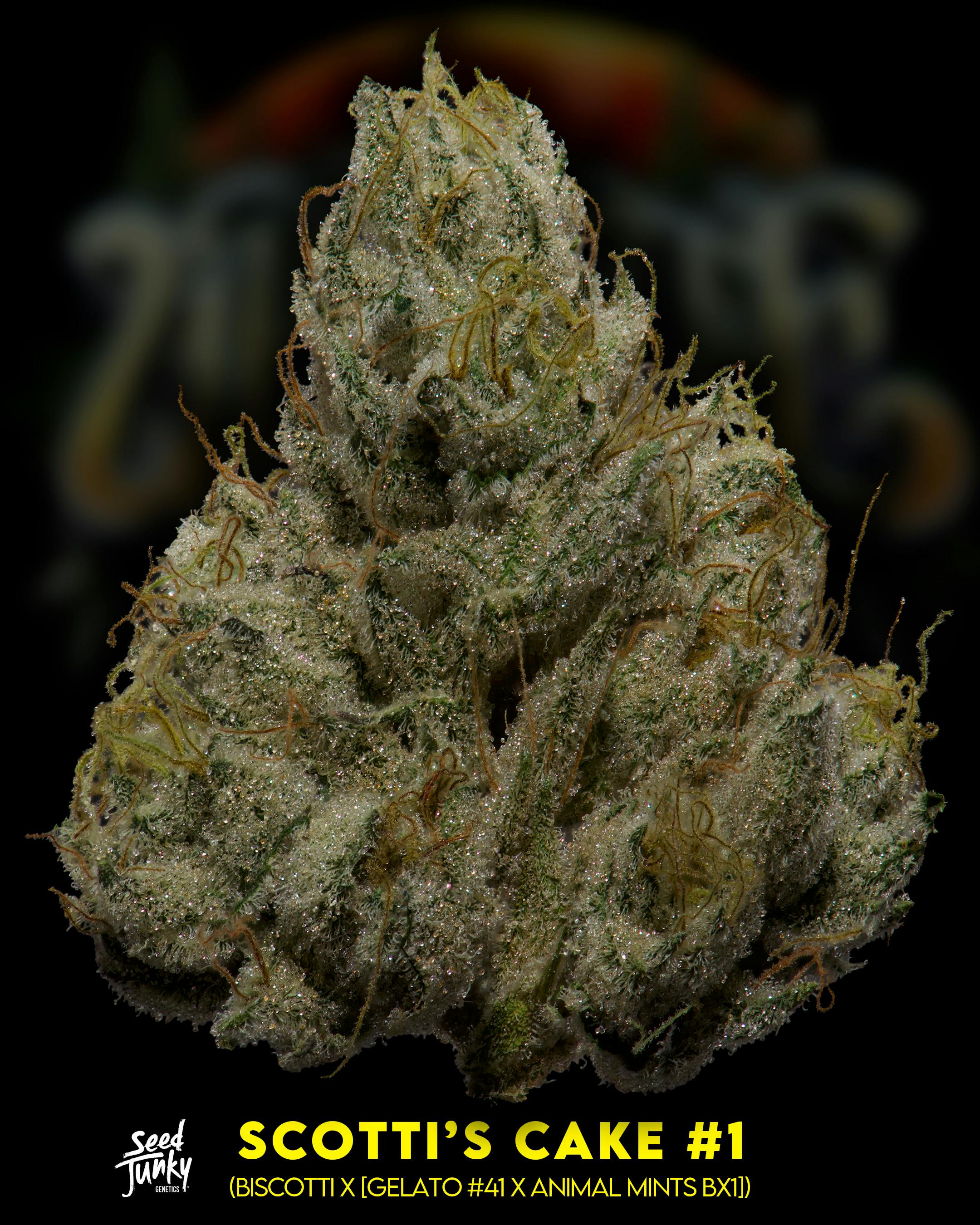 Flower: Scotti's Cake #1 - image 2