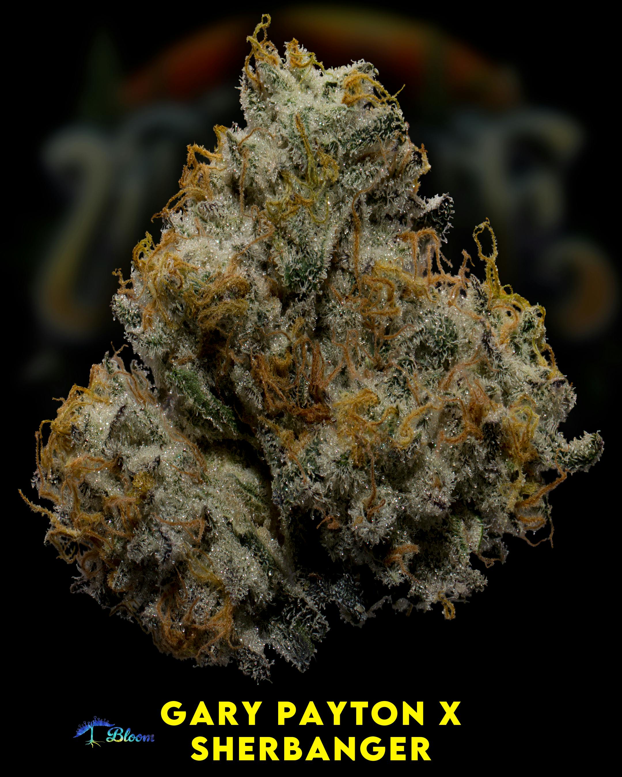 Flower: Gary Payton x Sherbanger - image 1