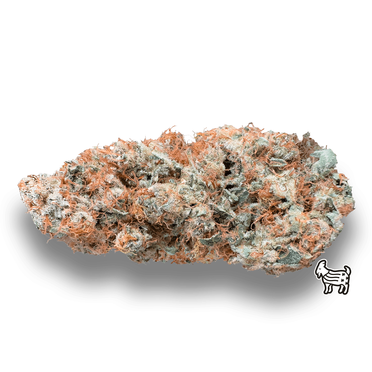 APPLE ABDUCTION | BIG BUDS - image 1