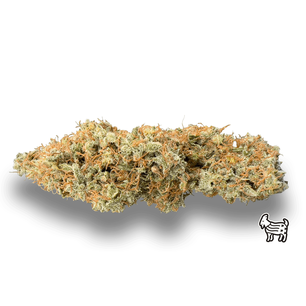 DURBAN POISON | BIG BUDS - image 1