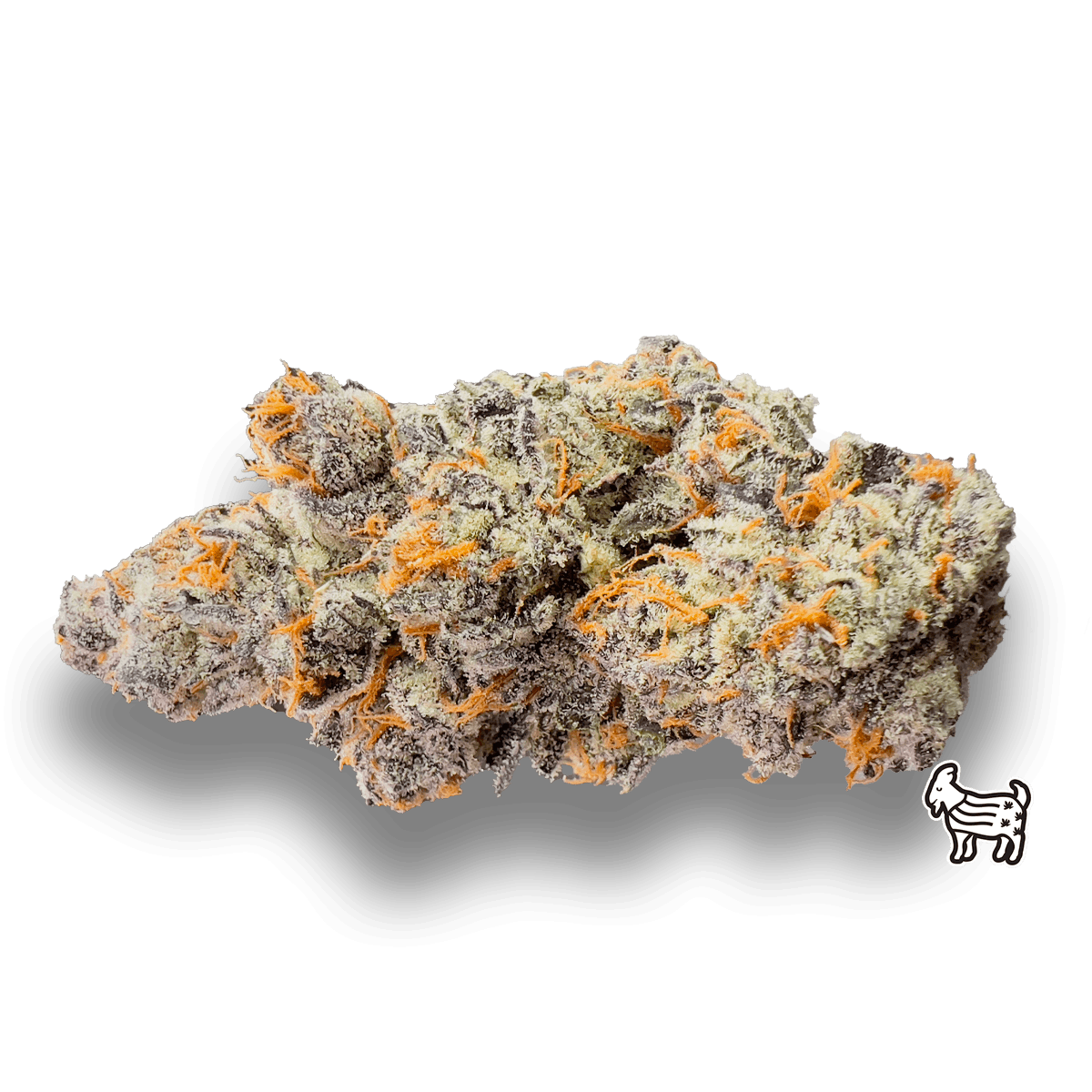 FREON | BIG BUDS - image 1