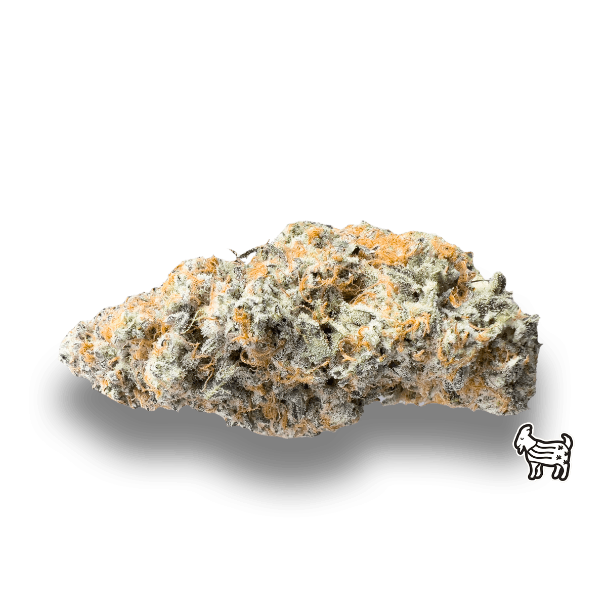 GELATO TRIX - image 1