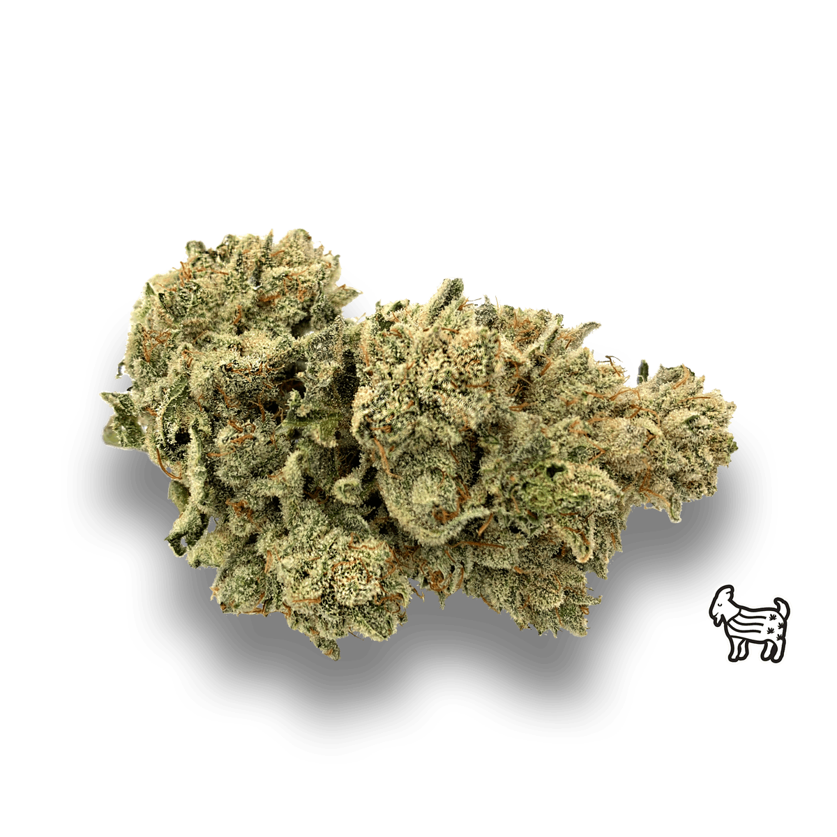 GG4 / ORIGINAL GLUE / GORILLA GLUE - image 1