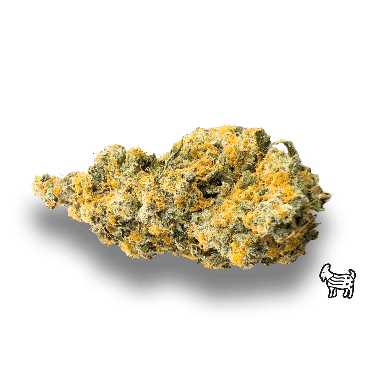 GMOSKI | BIG BUDS - image 1