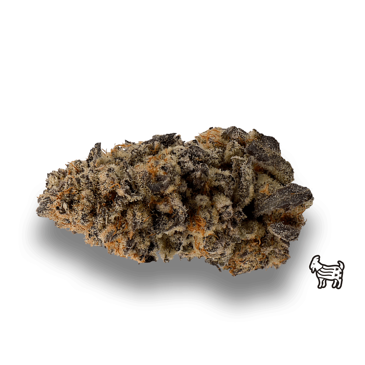 PURPLE PUNCH - image 1