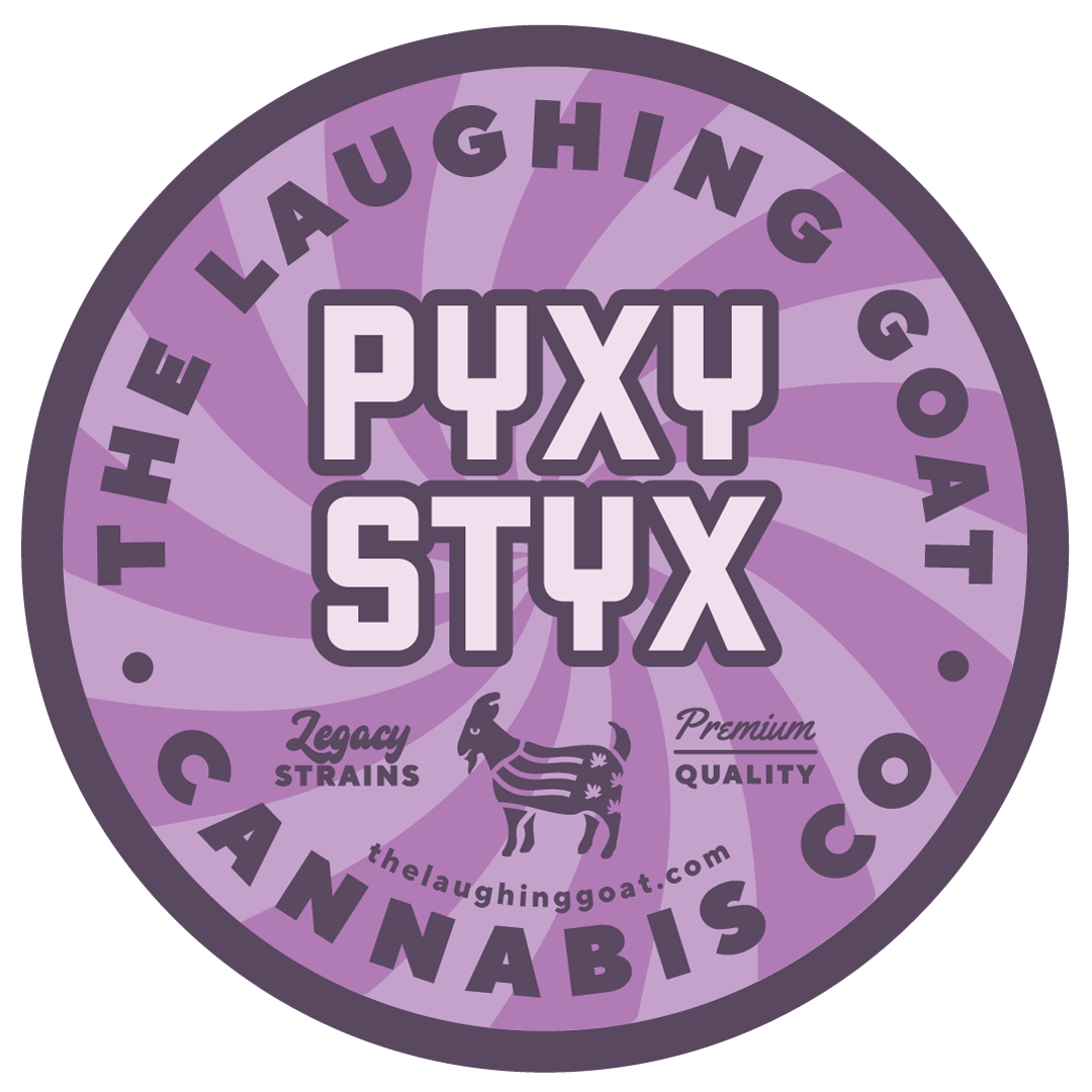 PYXY STYX | BIG BUDS - image 2