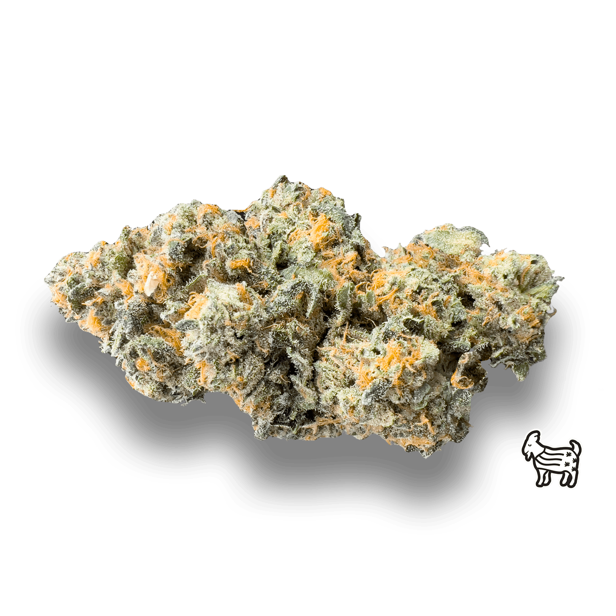 VANILLA FROSTY | BIG BUDS - image 1
