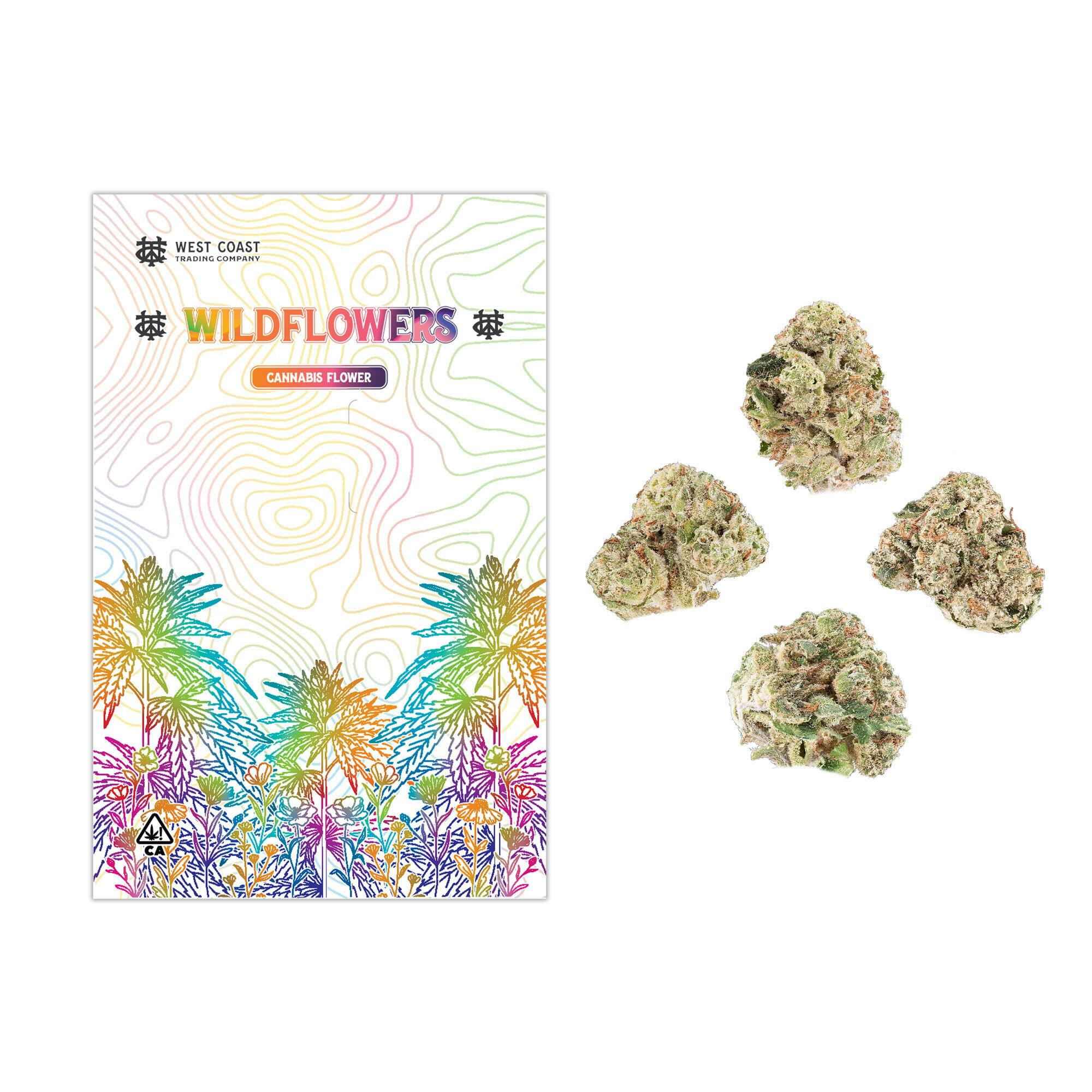 Trunk Funk | 14g | Sungrown Smalls - image 1