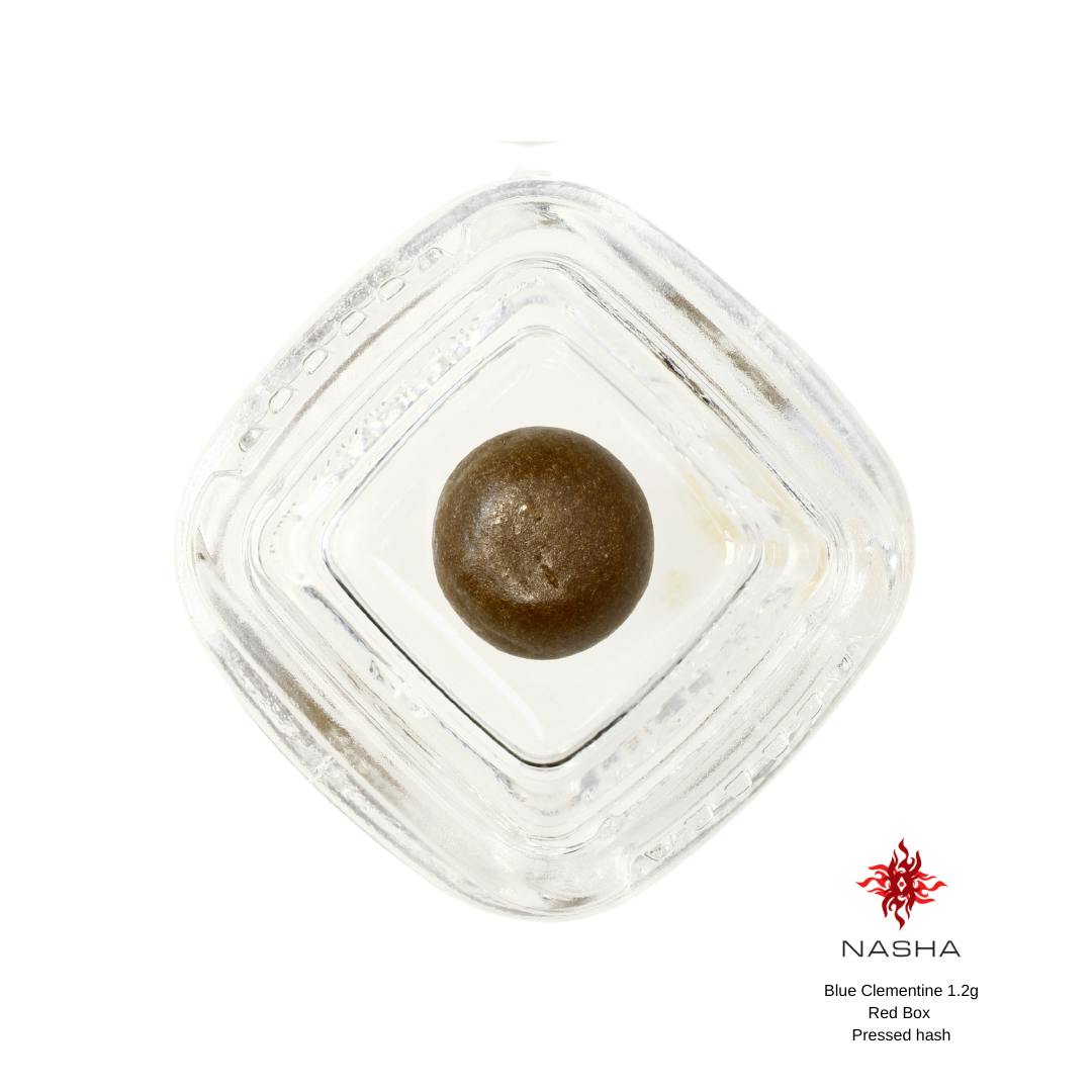 Blue Clementine 1.2g Red Pressed Hash - image 3