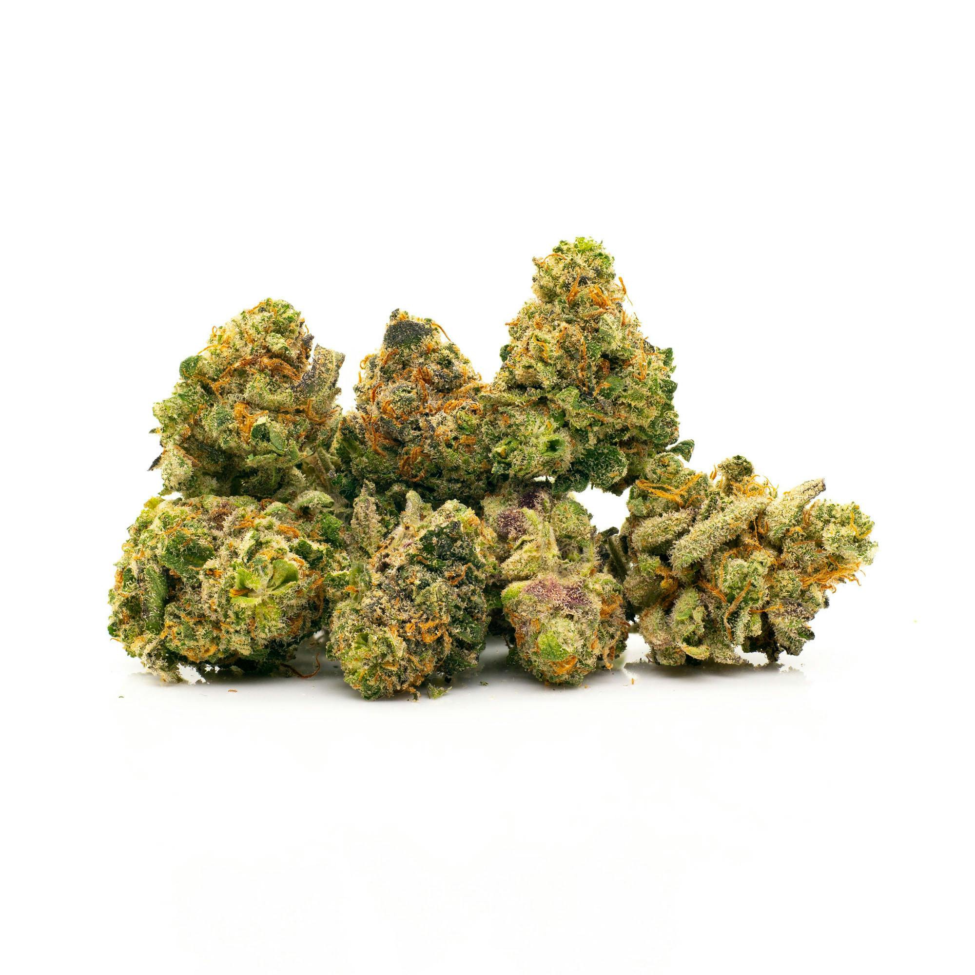 Purple Punch 14g Indoor Flower Smalls/Bigs - image 1