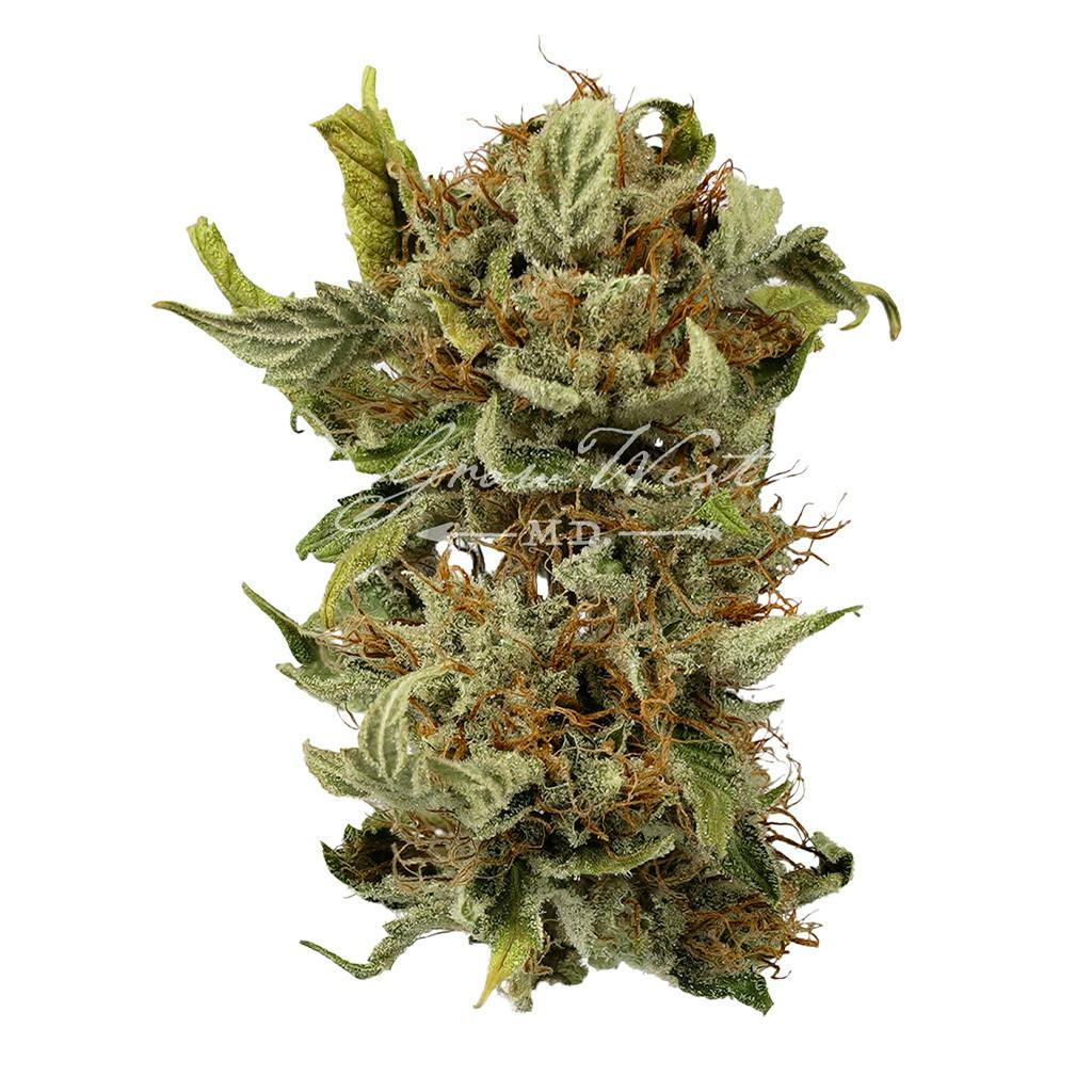 Thai'd Up | Silver | Untrimmed | 3.5g - image 1