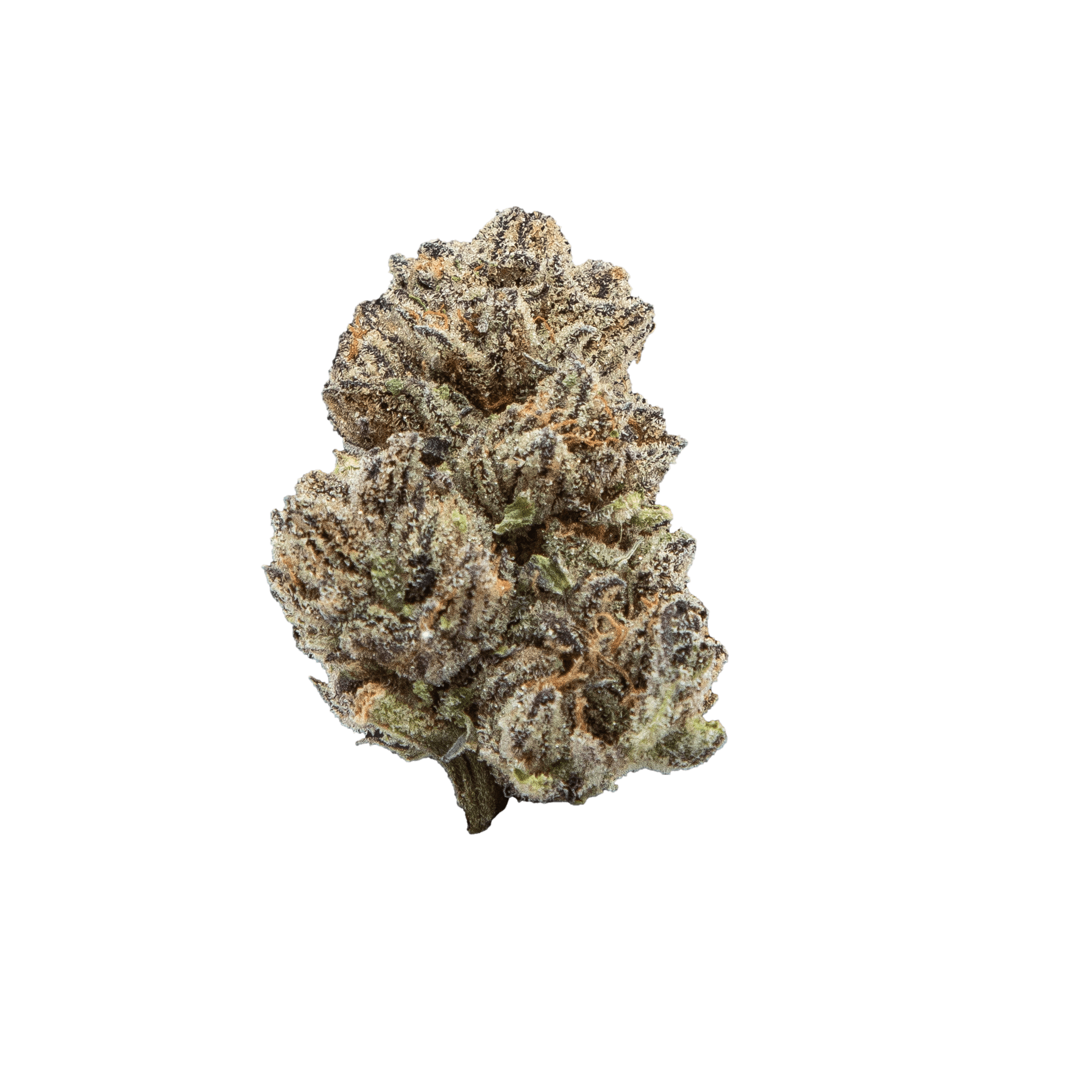 Puree - image 2
