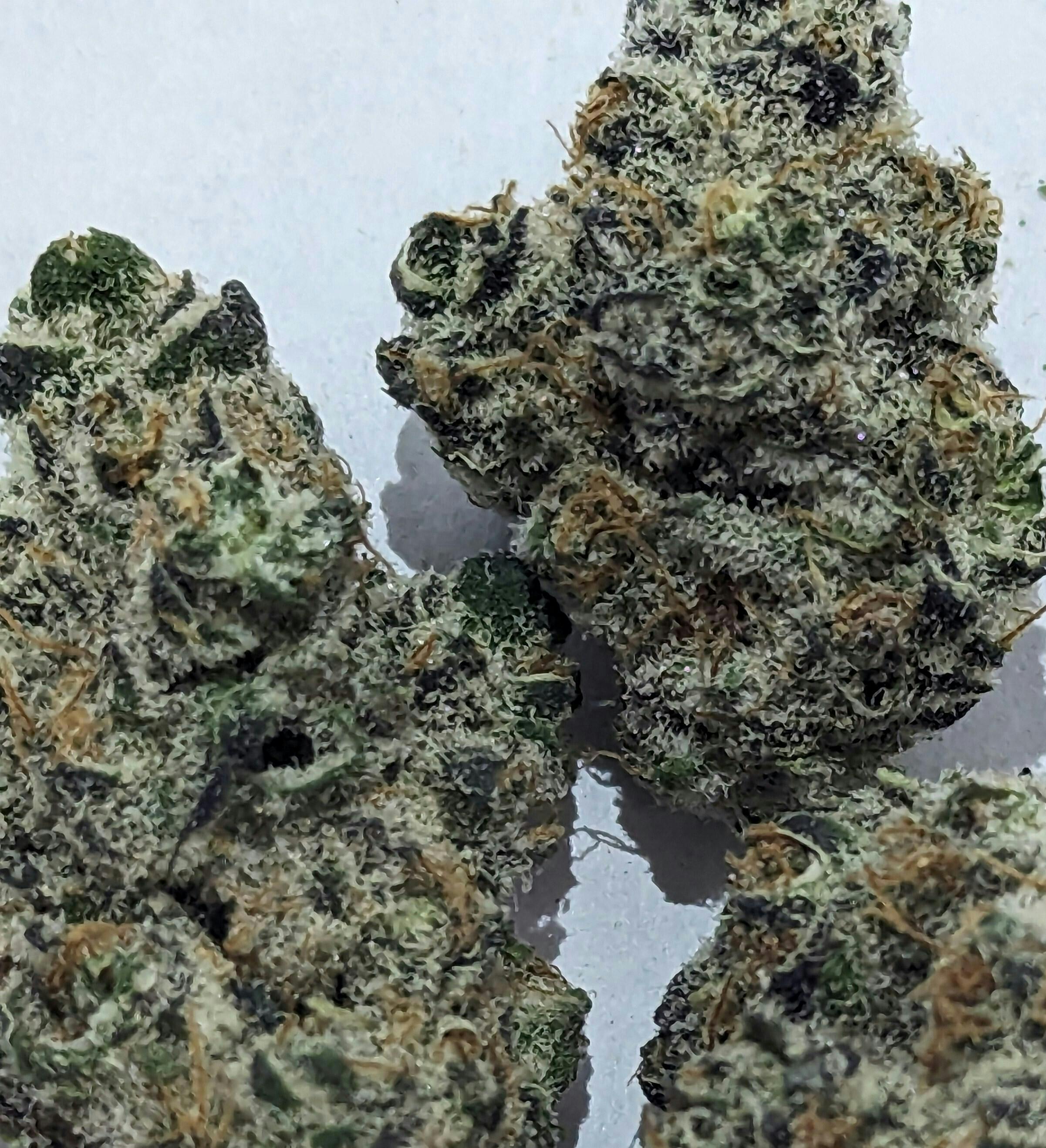 Banana Buttercup Flower [7g] - image 1