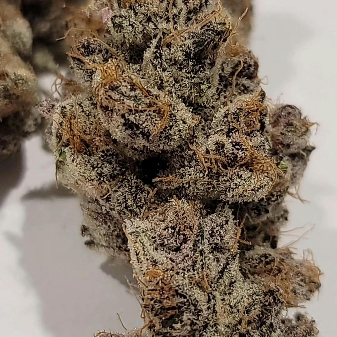 Point Break Flower [7g] - image 1