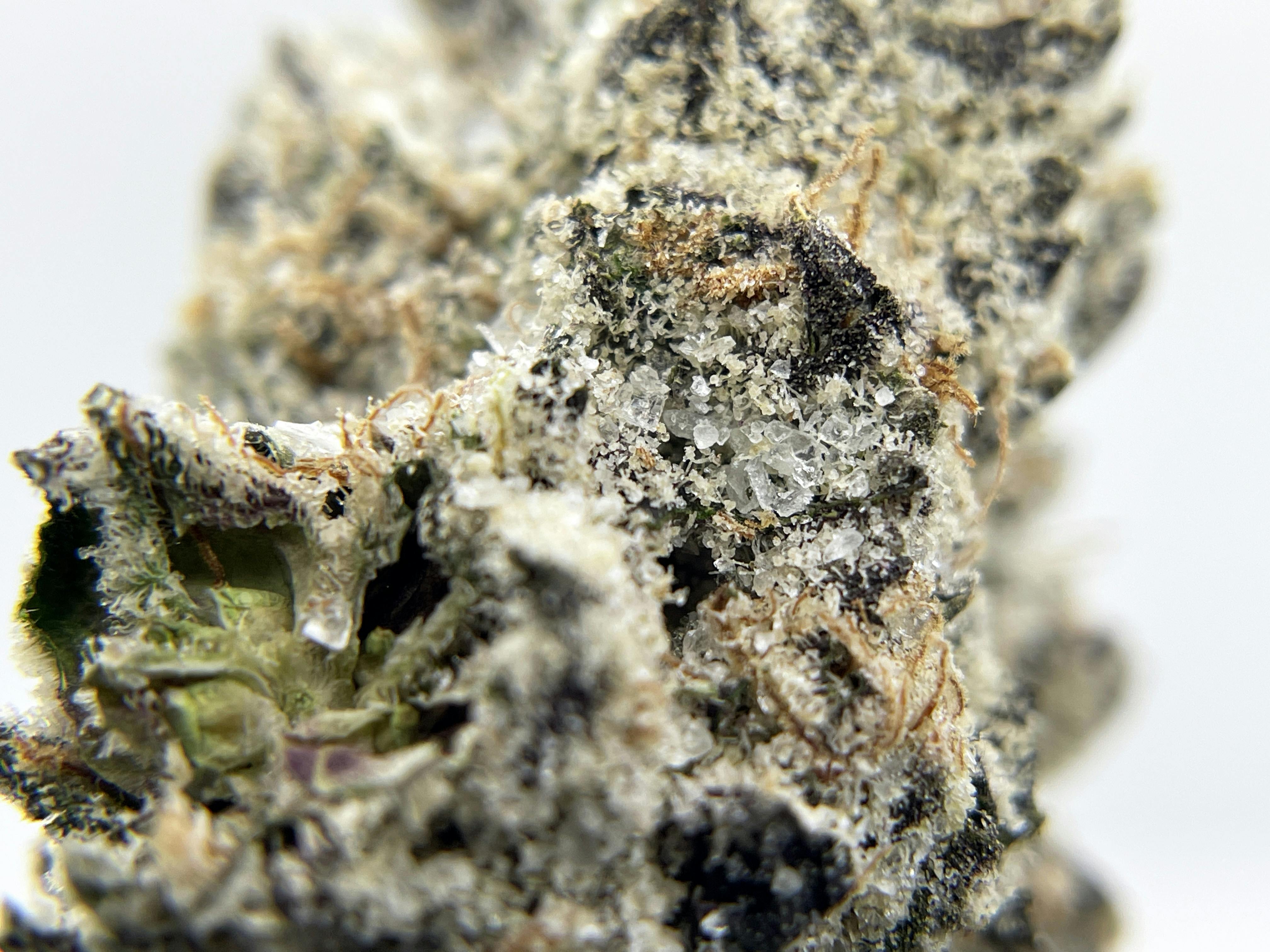 BLACK PEARL - Diamond Coated Indoor - Lemon Cherry Gelato - 3.5g | 1/8oz - image 3
