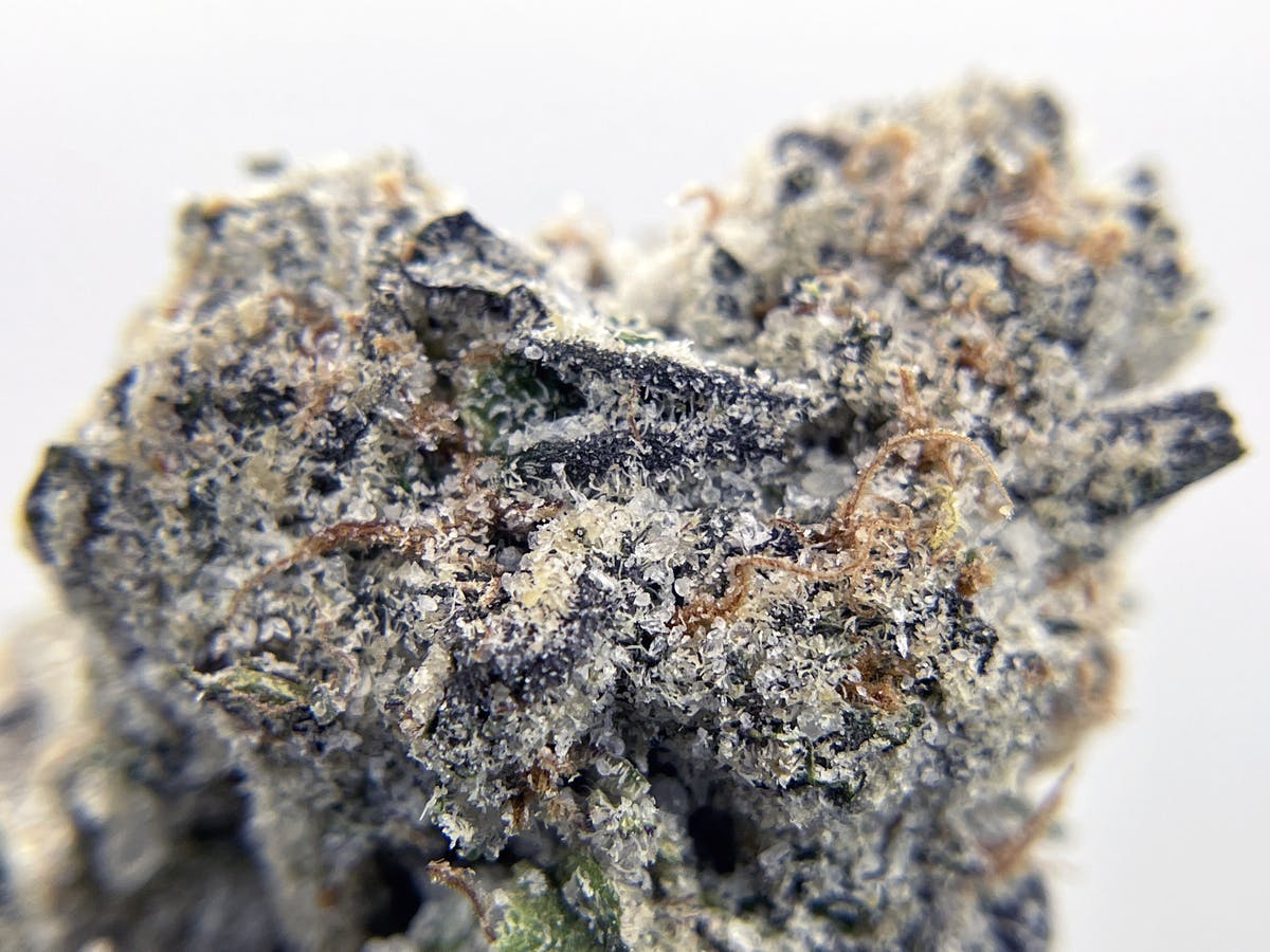 BLACK PEARL - Diamond Coated Indoor - Lemon Cherry Gelato - 3.5g | 1/8oz - image 2