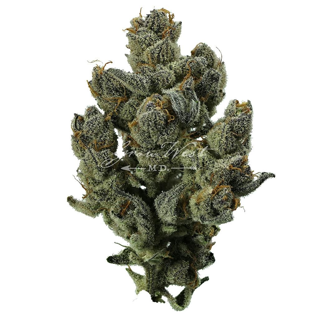 Mad Tiger | Gold | Trimmed | 3.5g - image 1