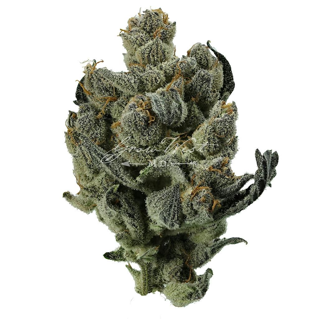 Mad Tiger | Silver | Untrimmed | 3.5g - image 1
