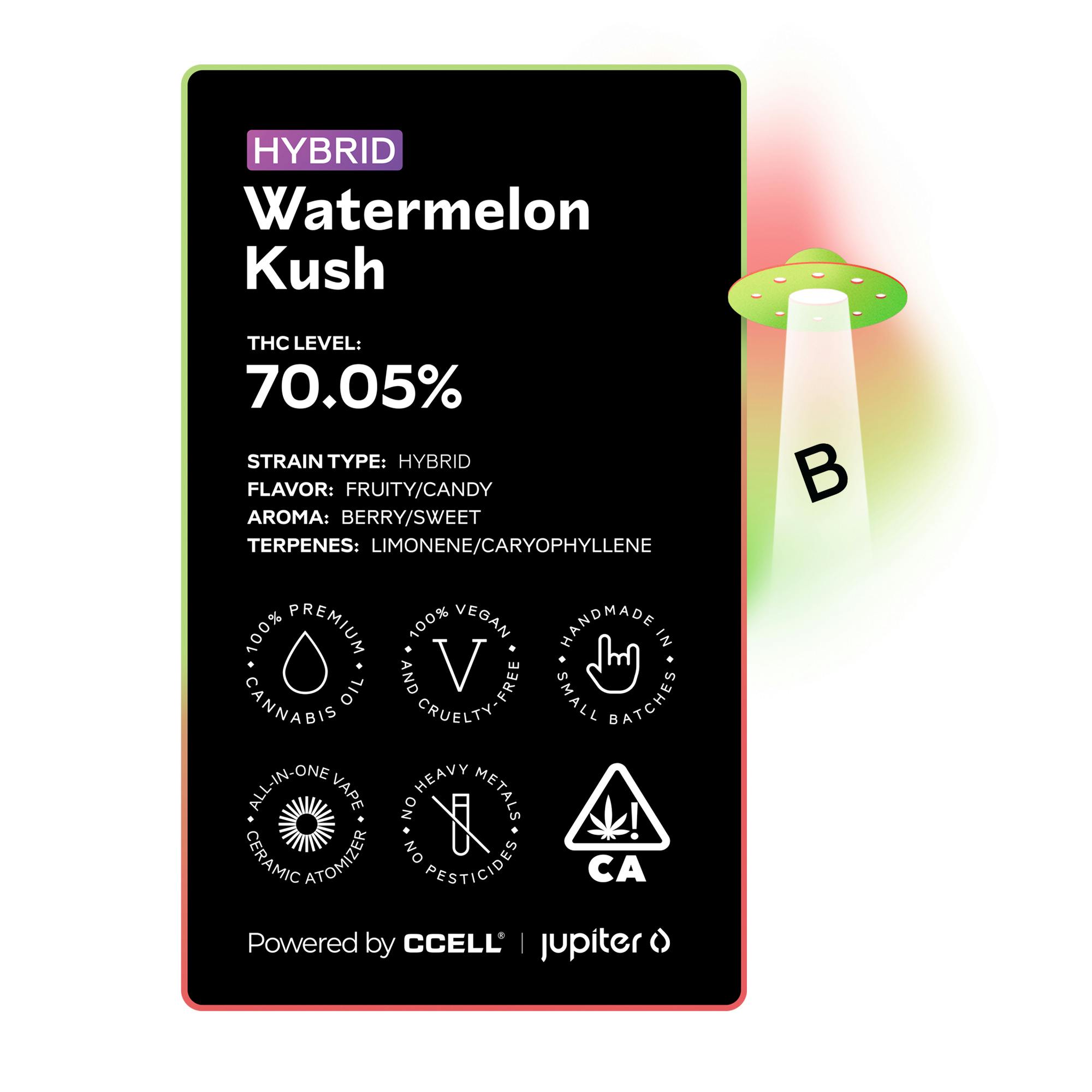 Watermelon Kush All-In-One Vape - image 2