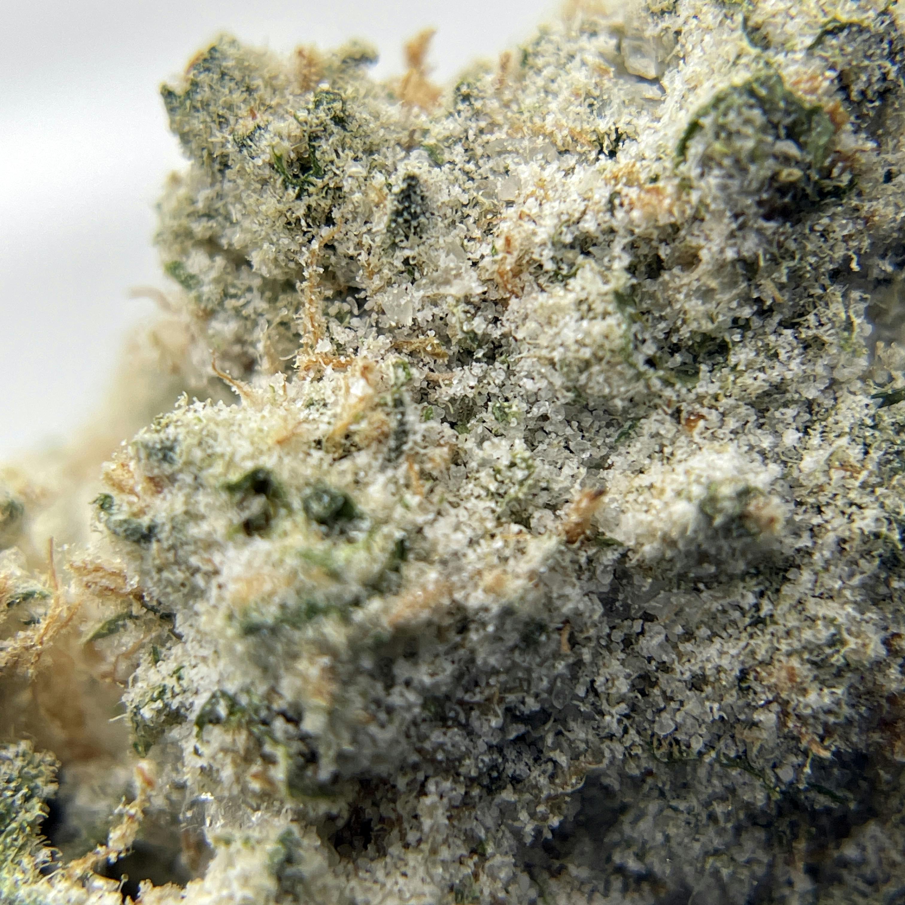 BLACK PEARL - Diamond Coated Indoor Flower - Cereal Milk - 3.5g | 1/8oz - image 1