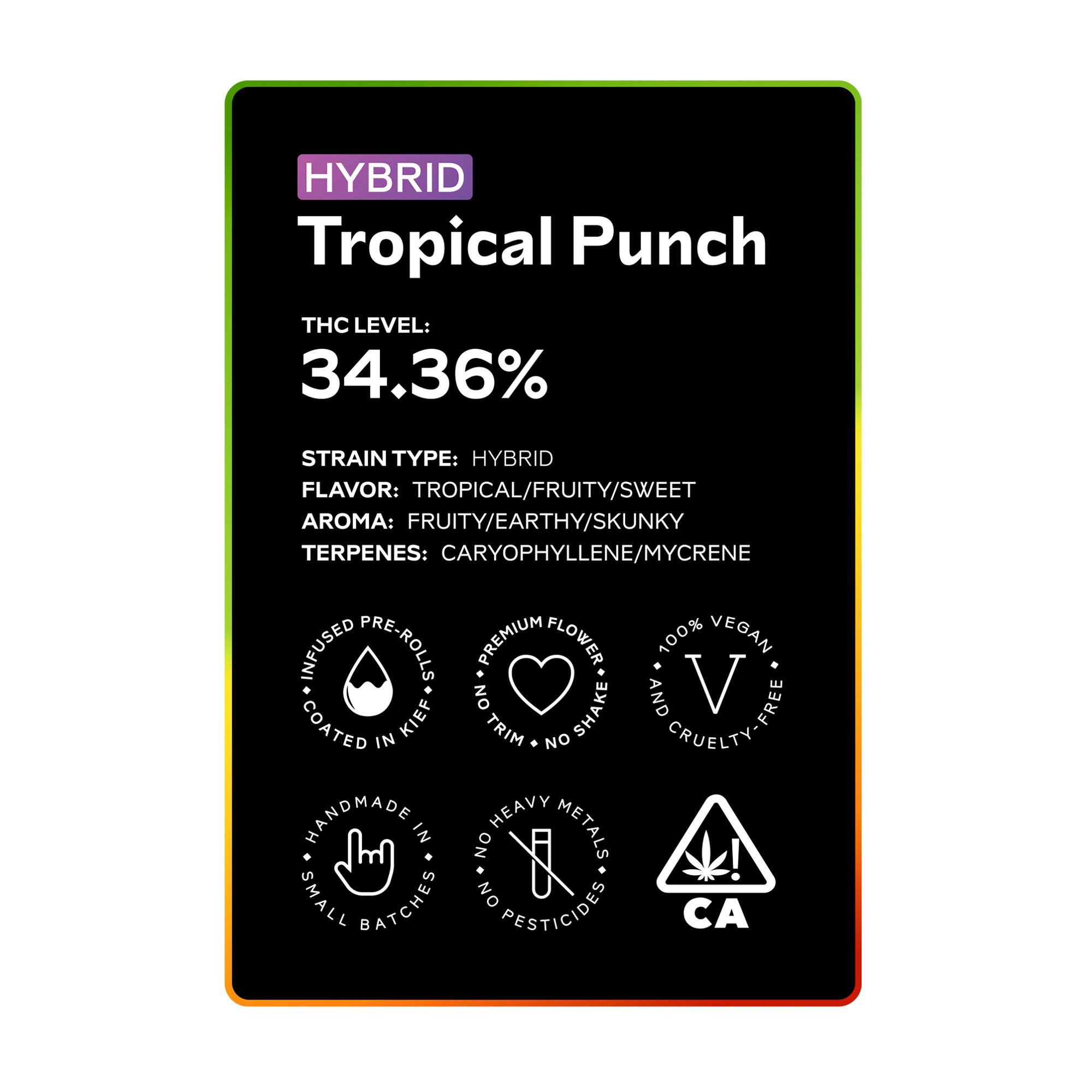 Tropical Punch Mini Barkie's - image 1