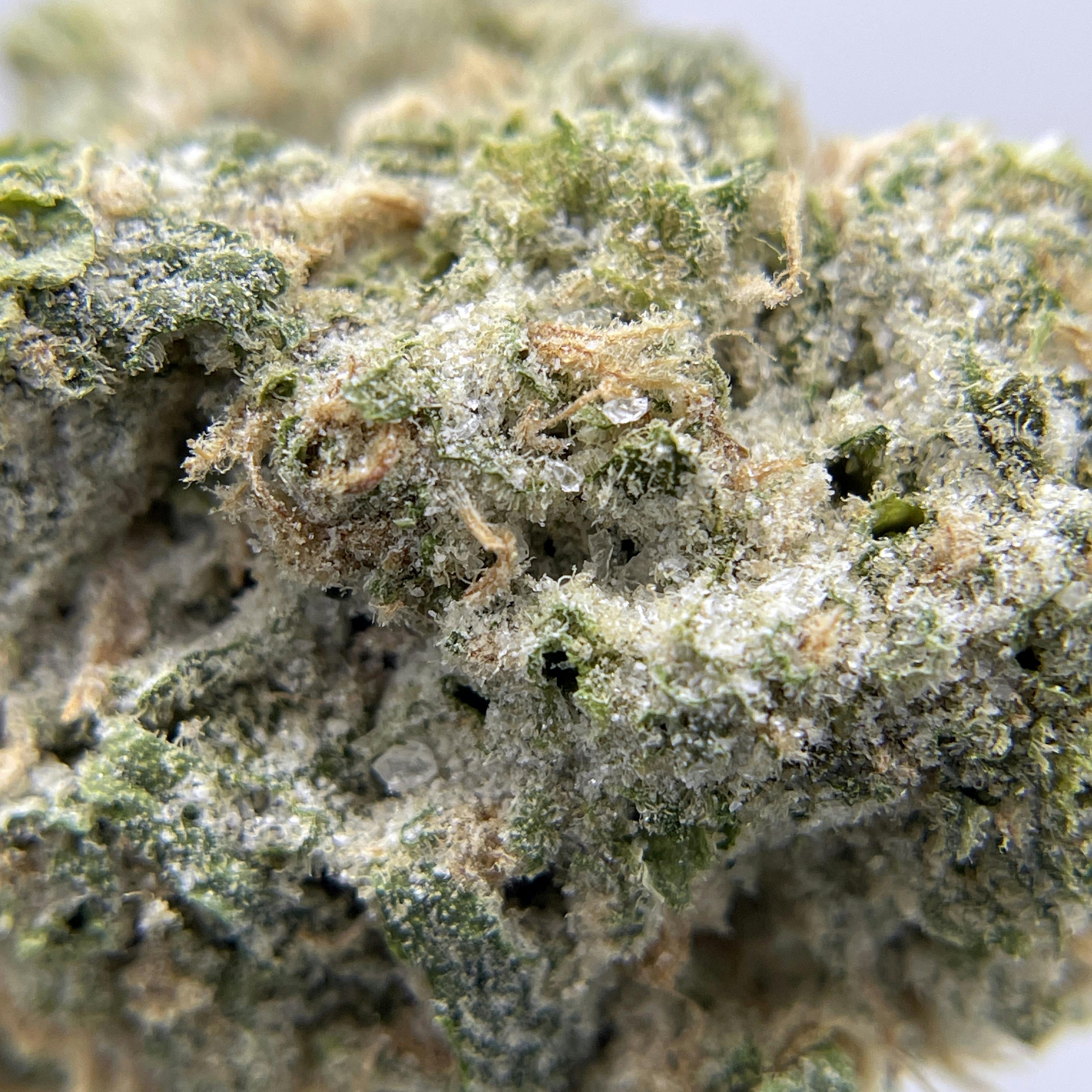 BLACK PEARL - Diamond Coated Indoor Flower - Blue Dream - 3.5g | 1/8oz - image 3