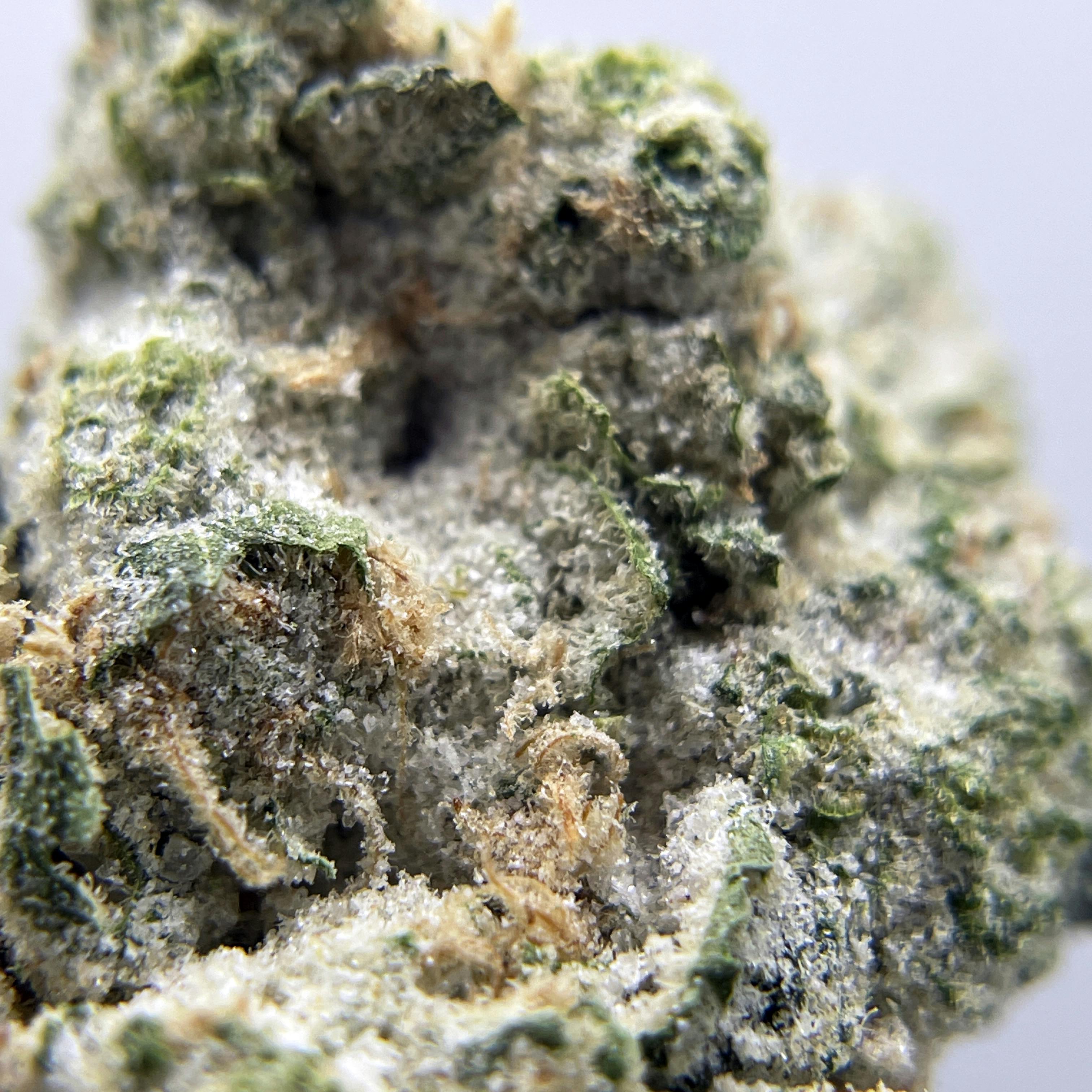 BLACK PEARL - Diamond Coated Indoor Flower - Blue Dream - 3.5g | 1/8oz - image 2