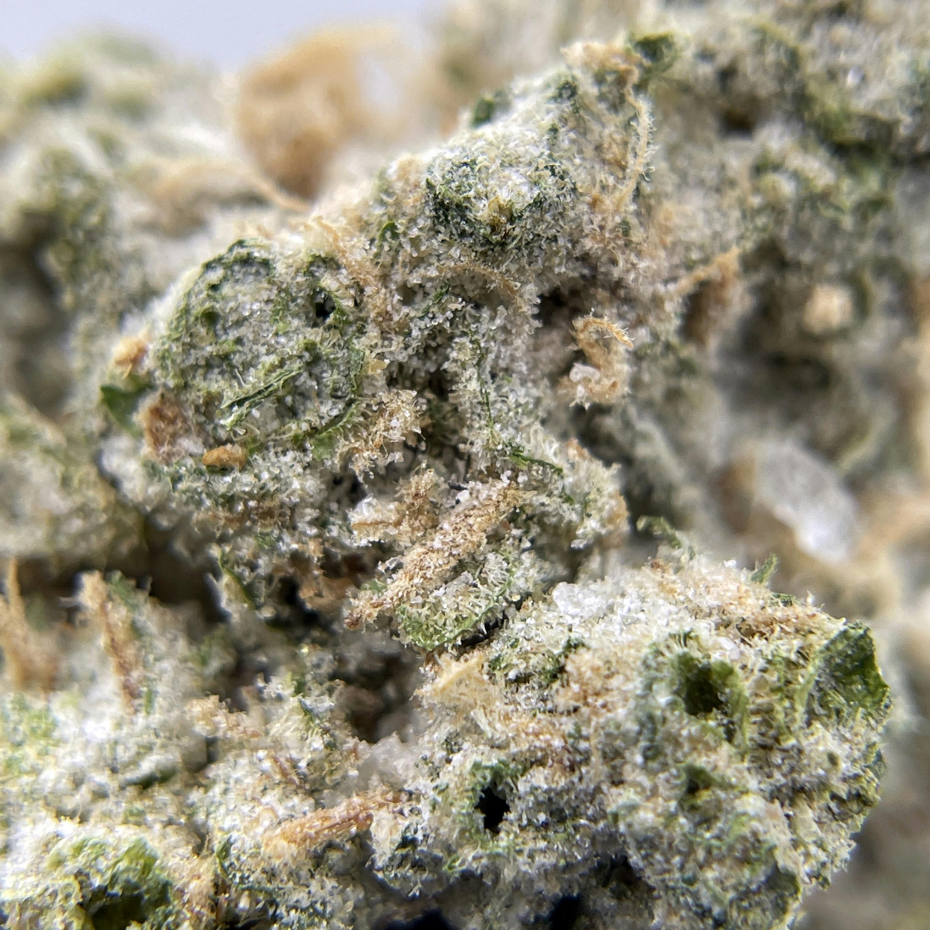 BLACK PEARL - Diamond Coated Indoor Flower - Blue Dream - 3.5g | 1/8oz - image 1