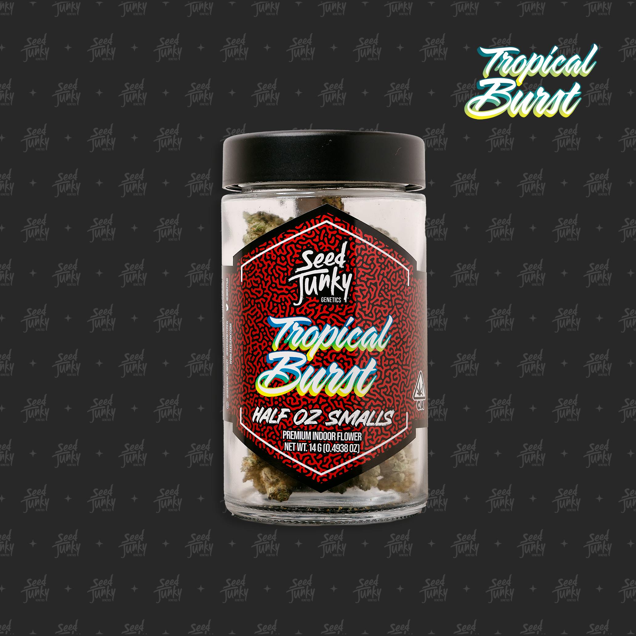 TROPICAL BURST SMALLS- 14G - image 1