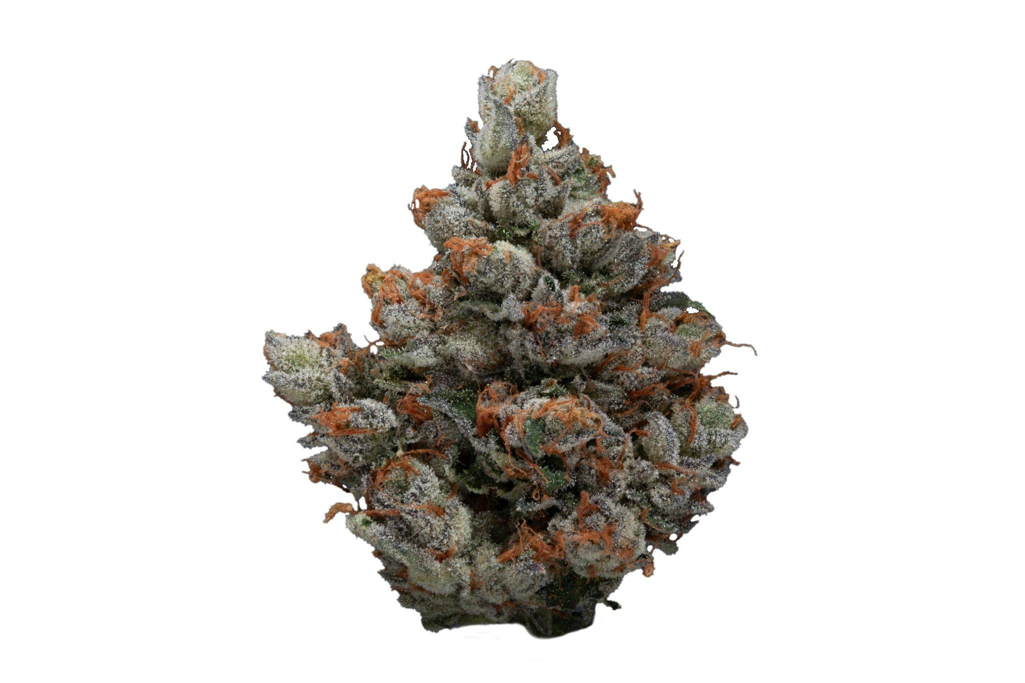 Gas Puffs - image 3