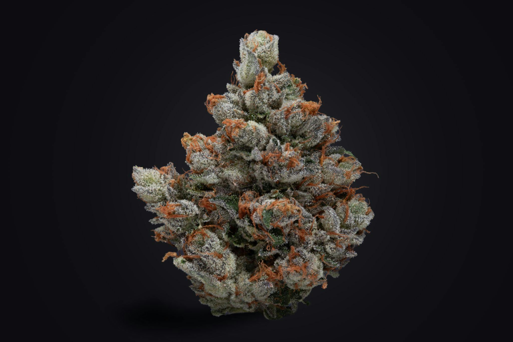 Gas Puffs - image 2