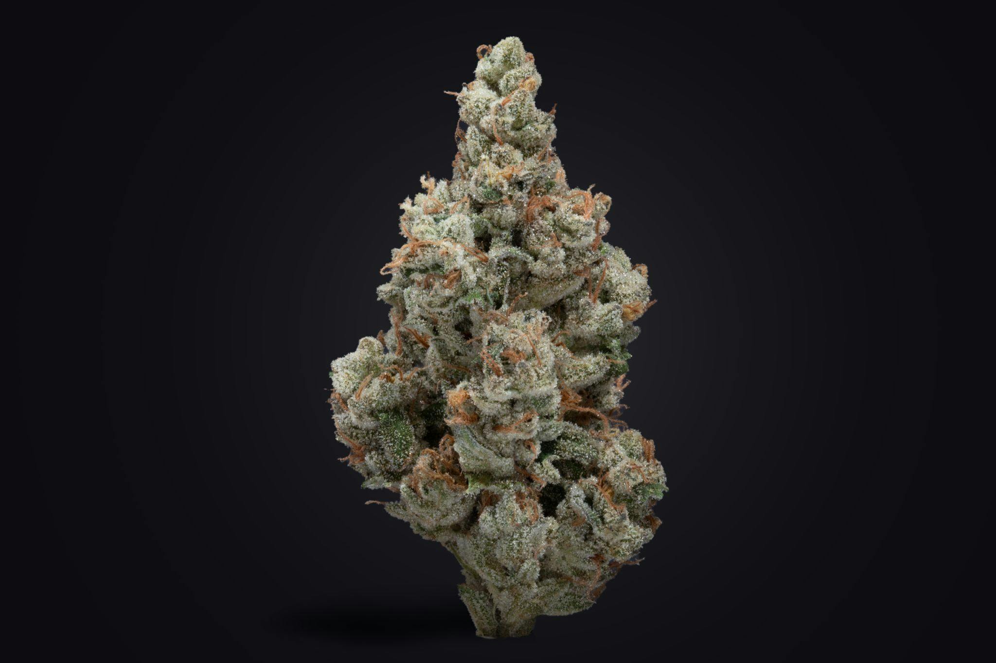 Grape Zarlic - image 3