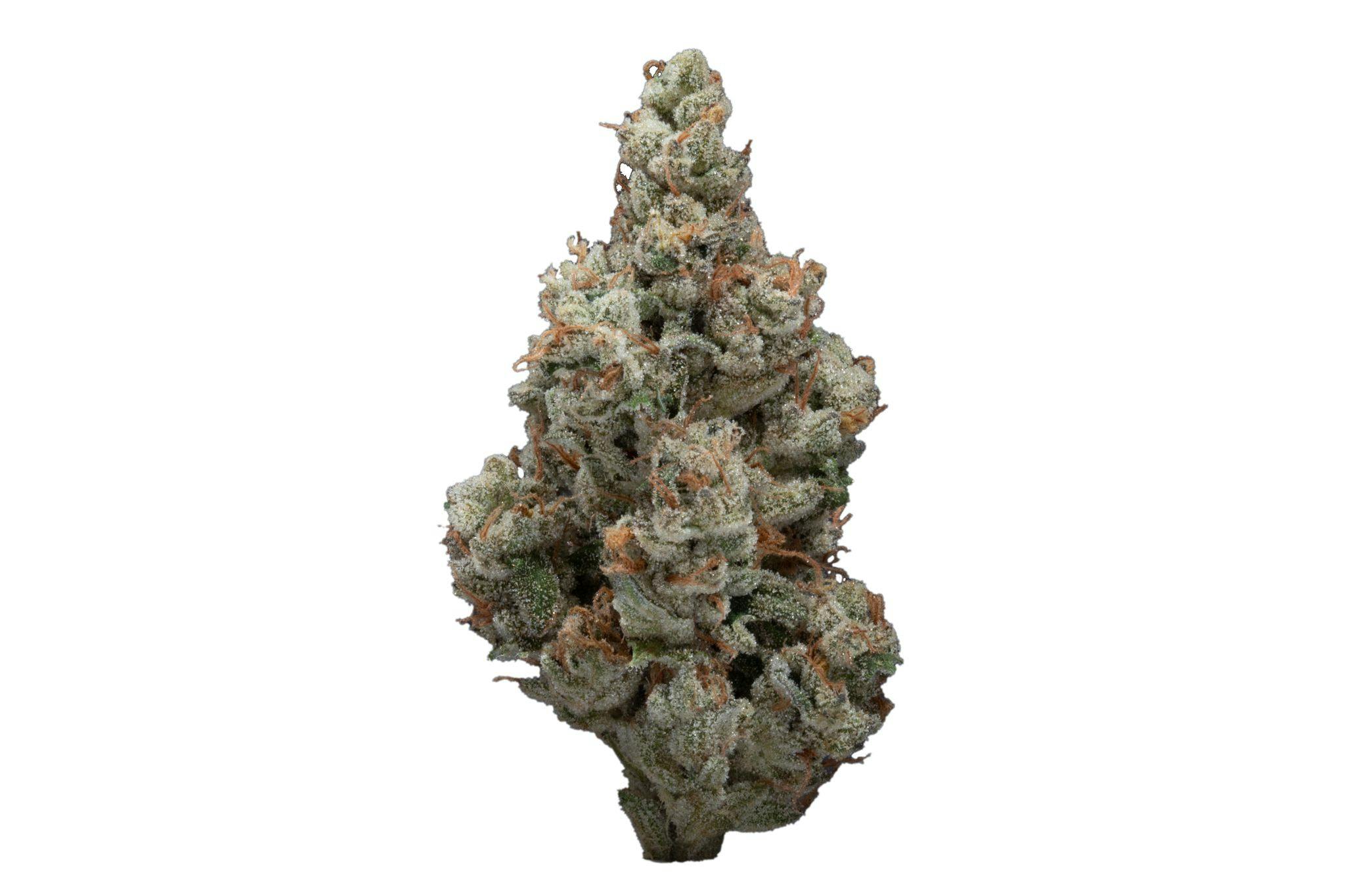 Grape Zarlic - image 2