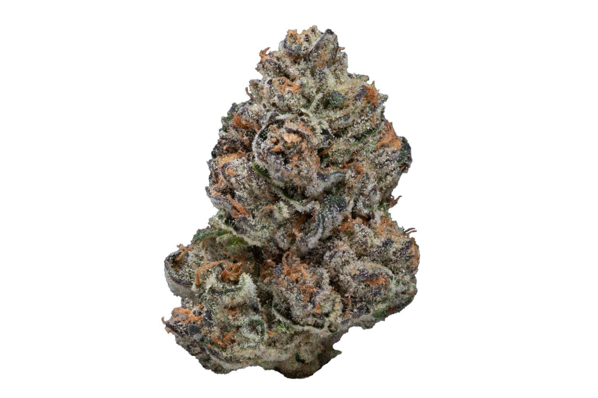 Sun Crunch Runtz - image 3
