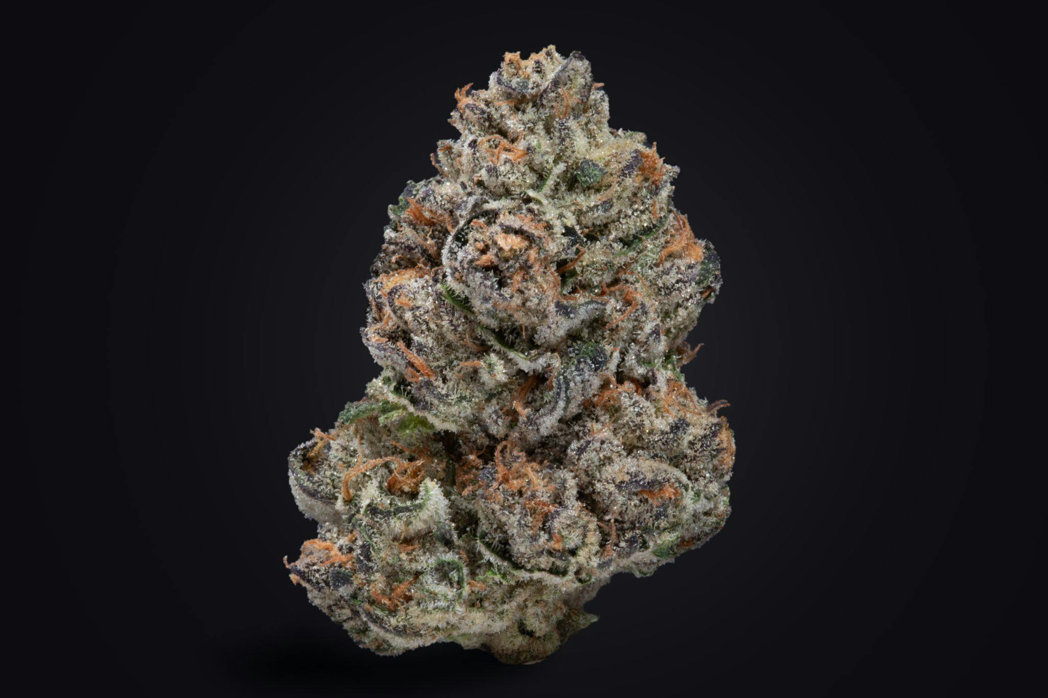 Sun Crunch Runtz - image 2