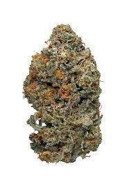 Animal Crackers - Indoor Flower 3.5G - image 1