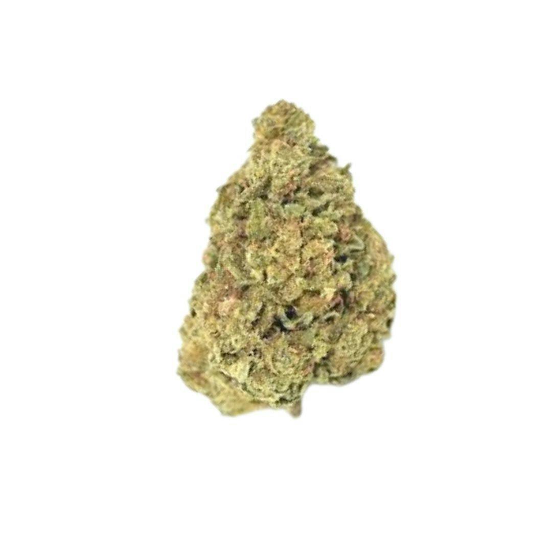 Pablo's Revenge - Indoor Flower 3.5G - image 1