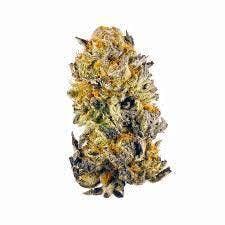 Acai Sherbet - Indoor Flower 3.5G - image 1