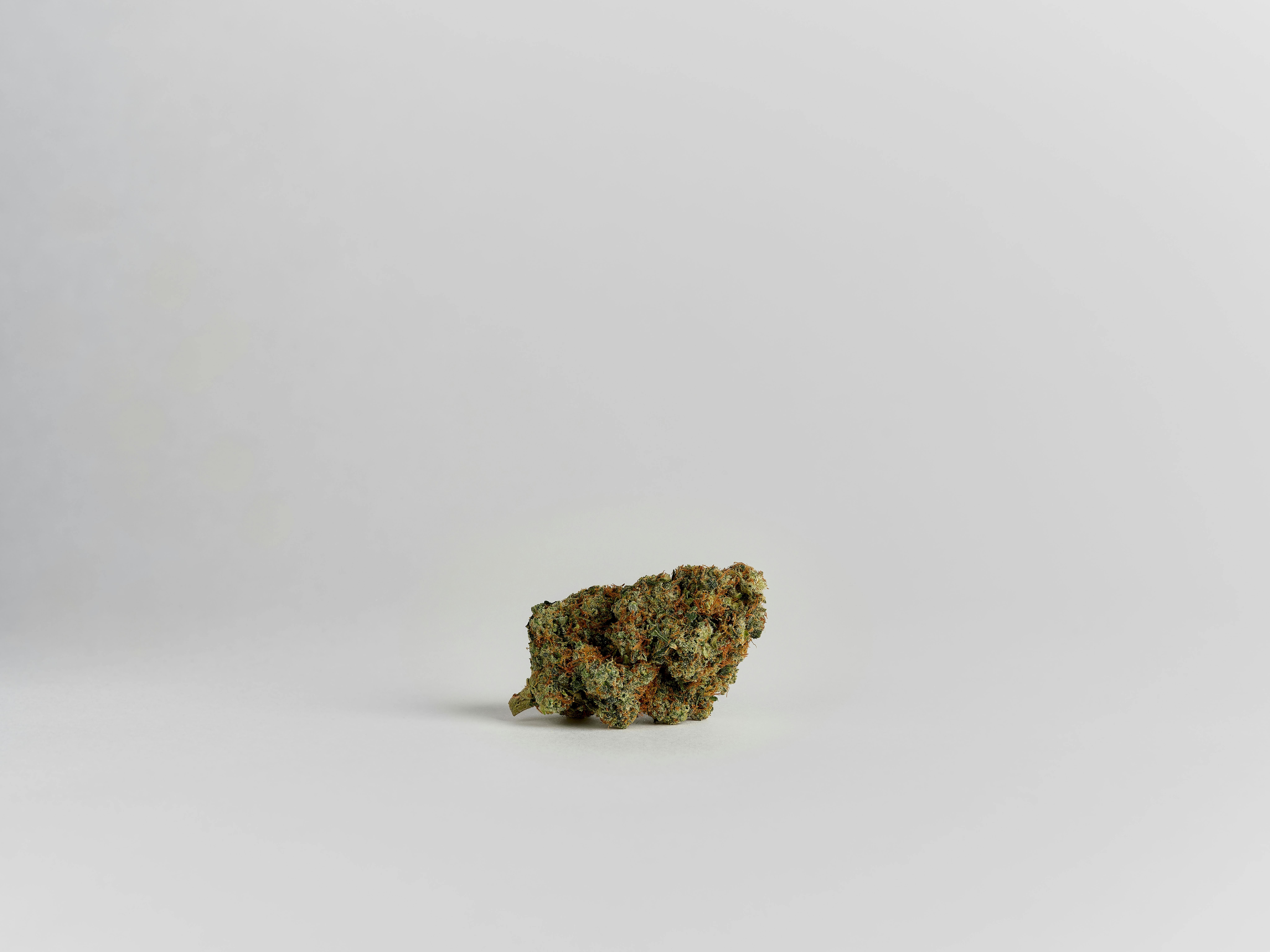 Cuban Gaslight - Flower [3.5g] - image 2