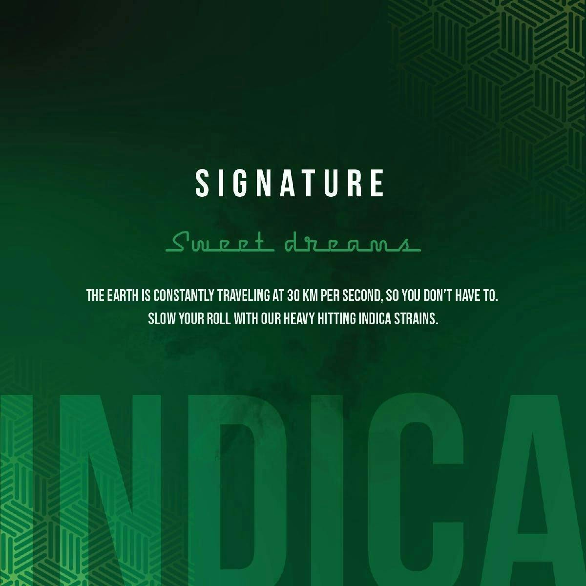 Signature Indica 1G - image 3