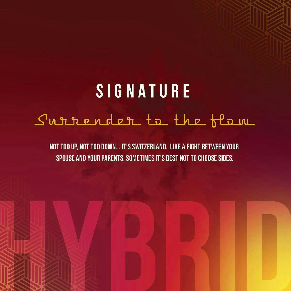 Signature Hybrid 1G - image 3