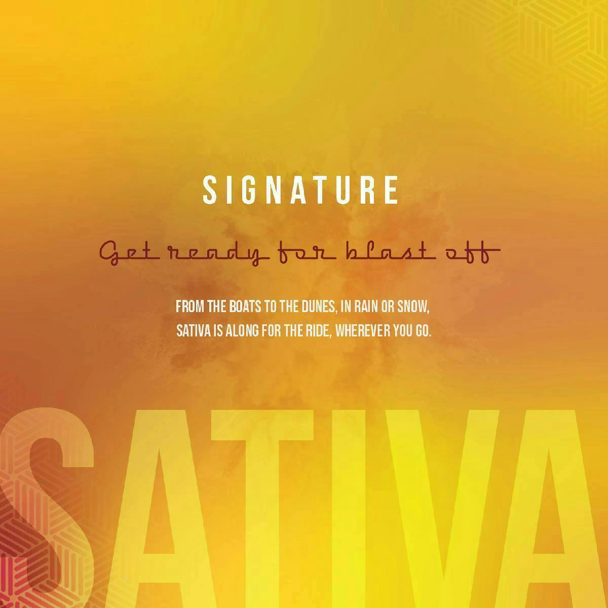 Signature Sativa 1G - image 3